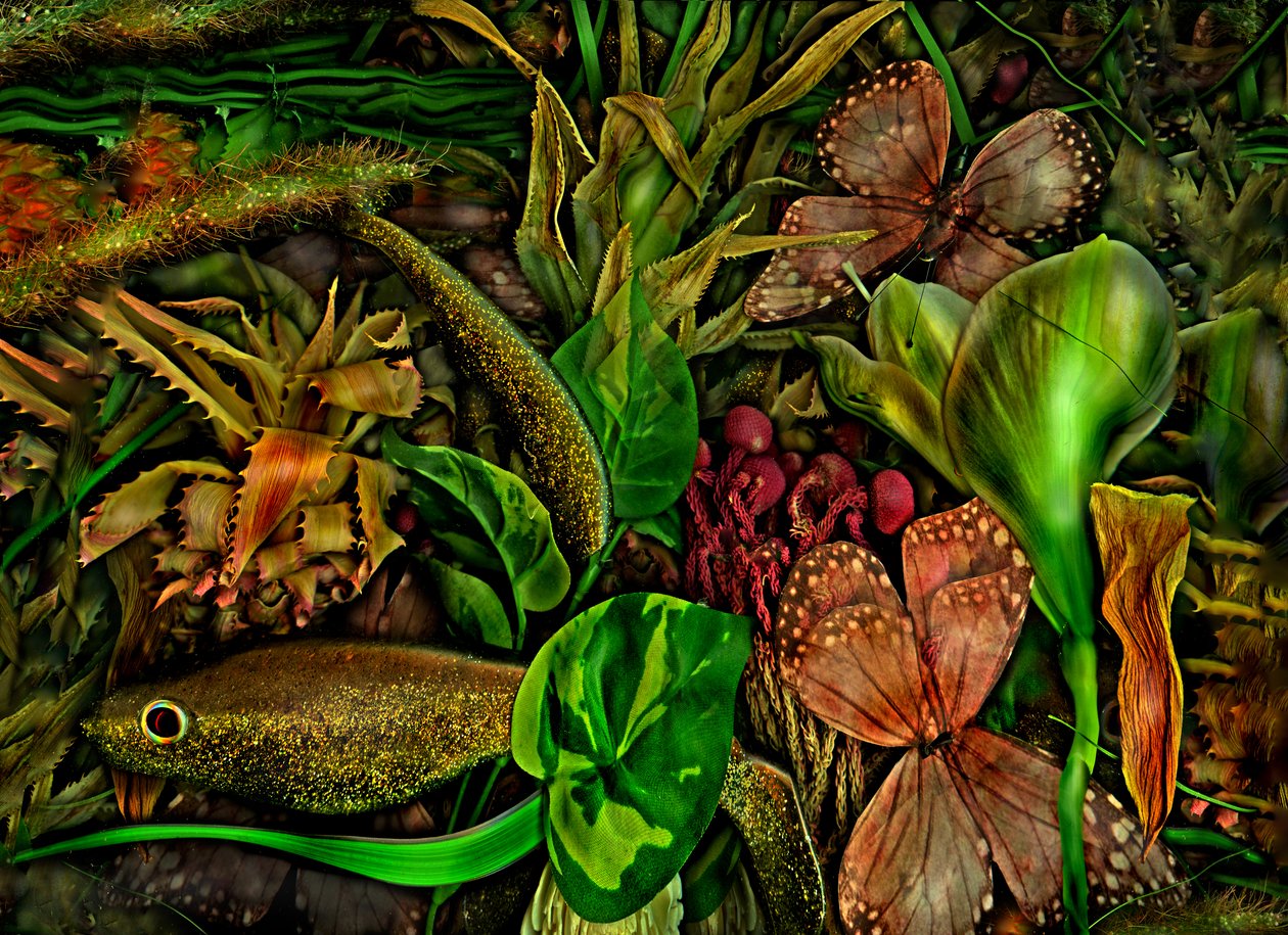 Anderswelt nr.3-5, 2015 (foto) door Antonius Antonius