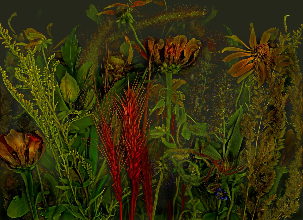 Anderswelt no.92, 2019 (photo) door Antonius Antonius