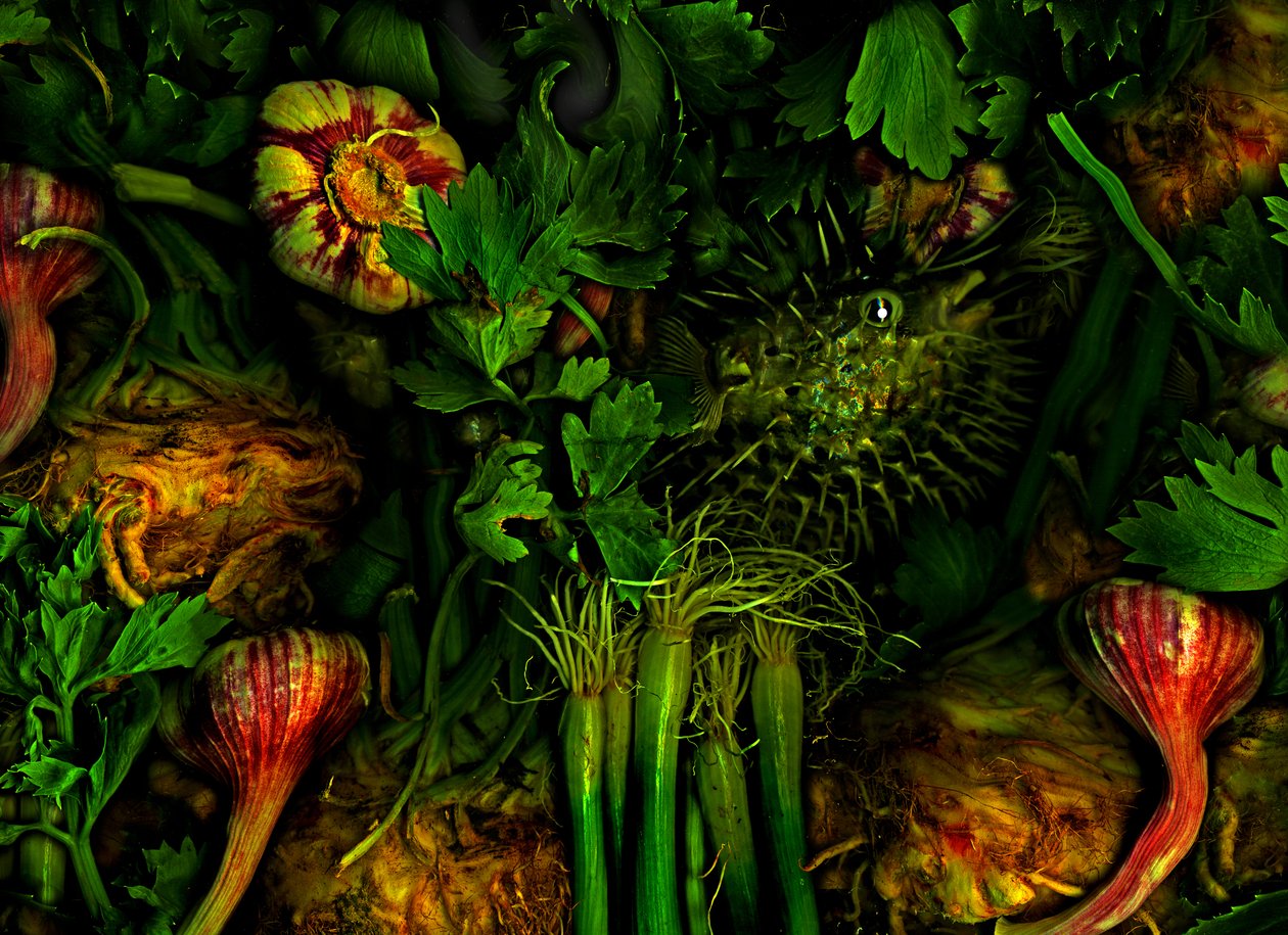 Andere werelden nr.20, 2017 (foto) door Antonius Antonius