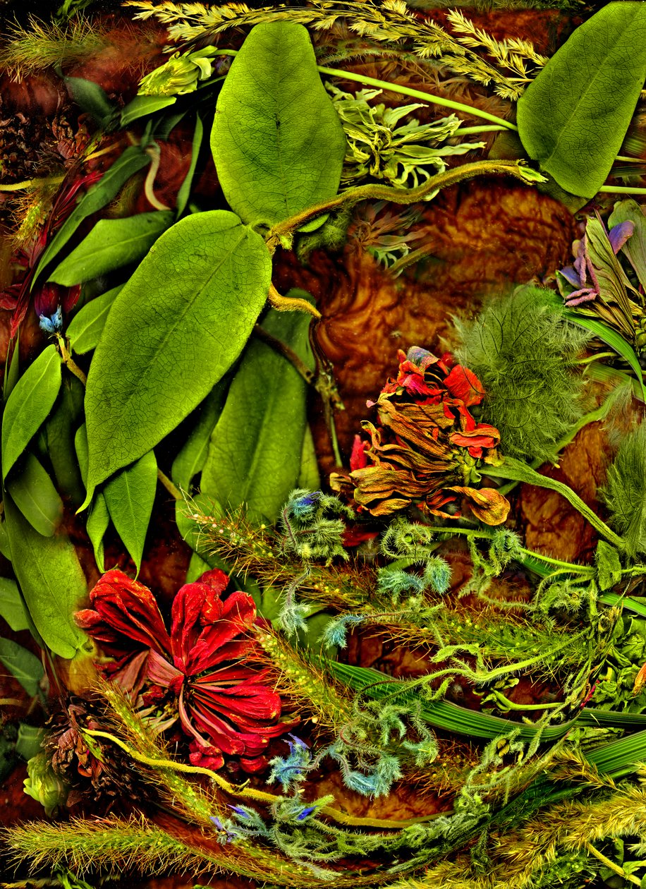  door Antonius Antonius