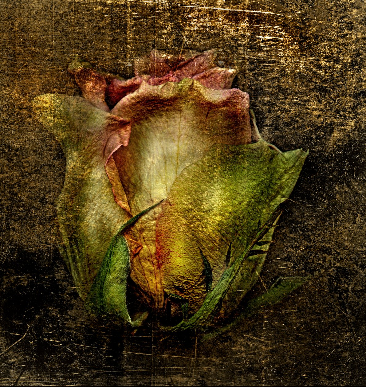  door Antonius Antonius