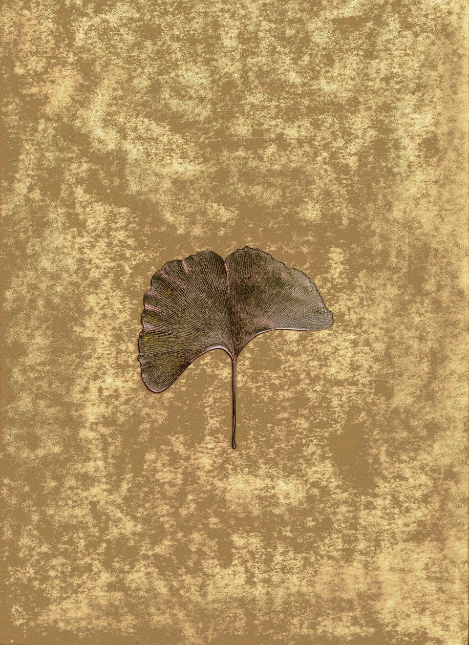  door Antonius Antonius