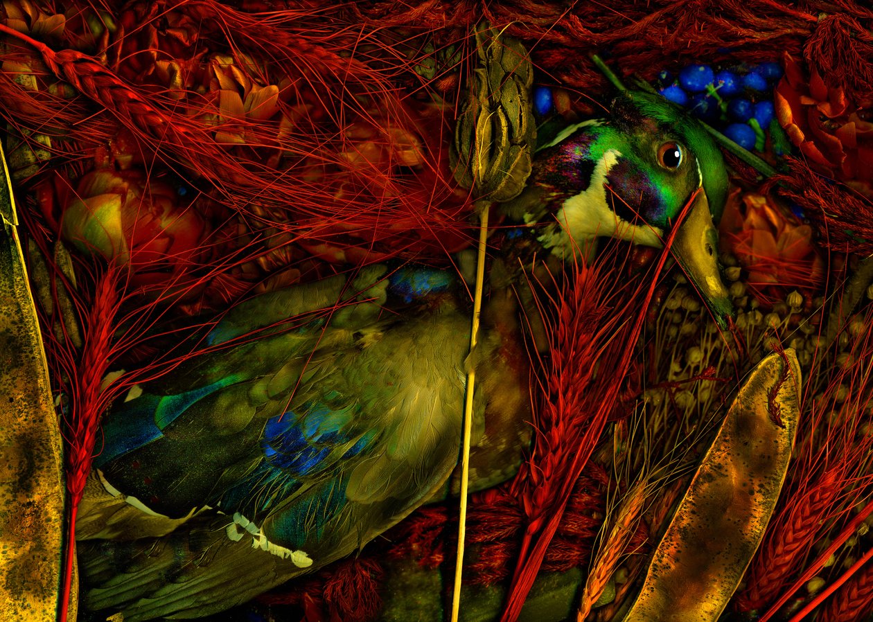  door Antonius Antonius