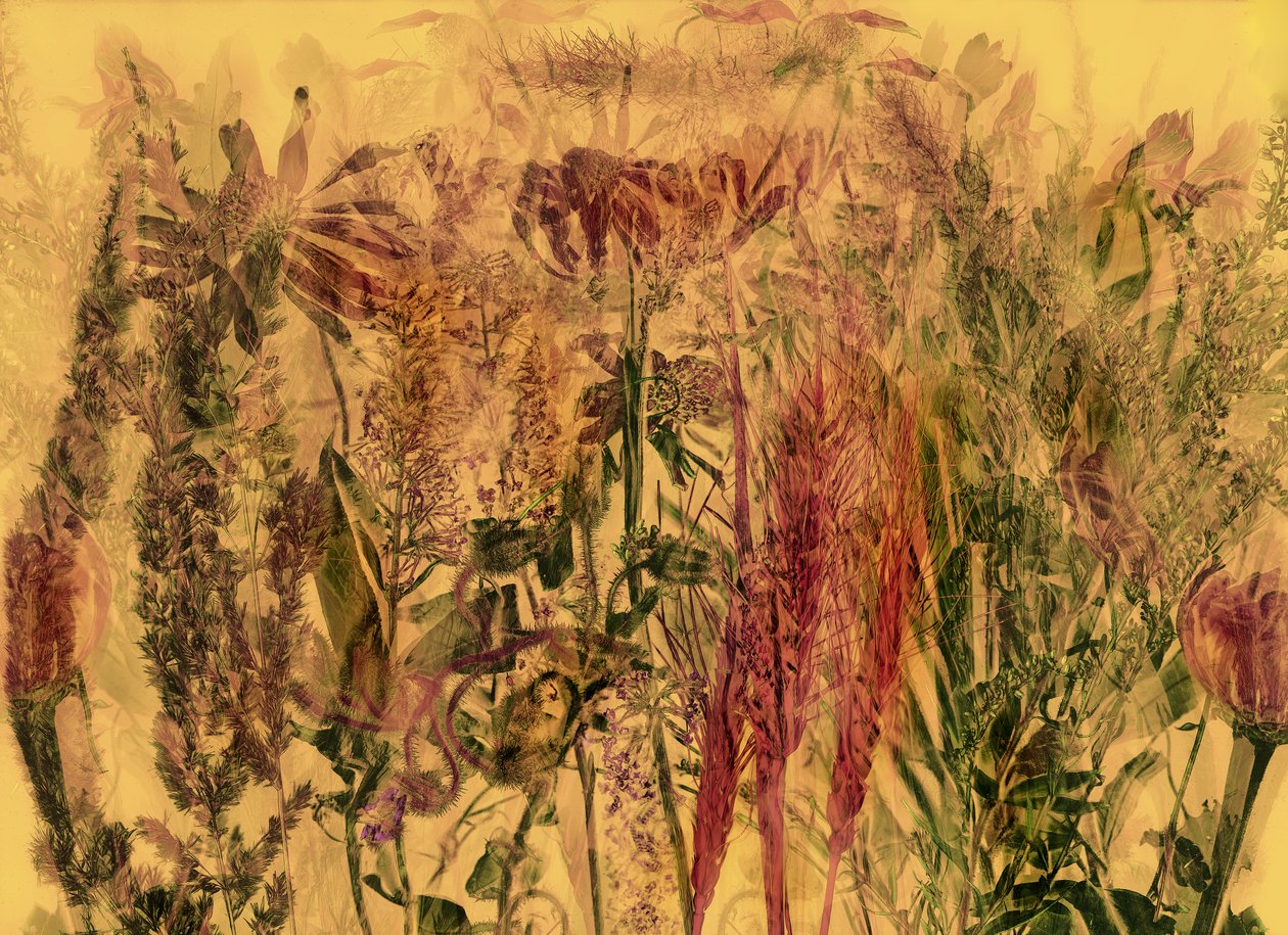  door Antonius Antonius