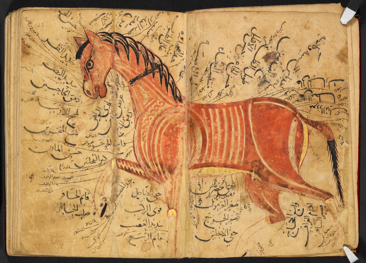Paard, uit 
