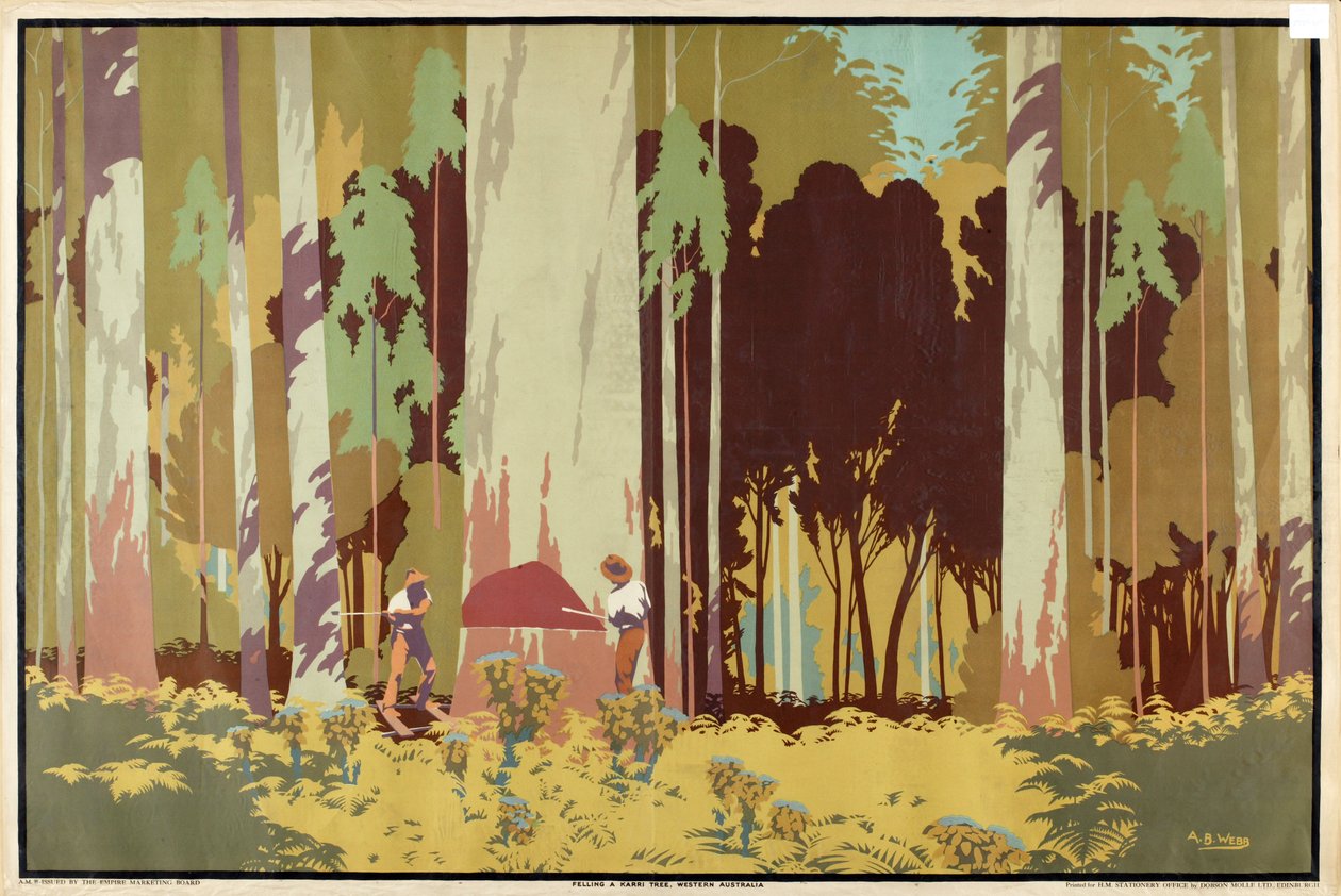 Het vellen van een Karri-boom, West-Australië, uit de serie 