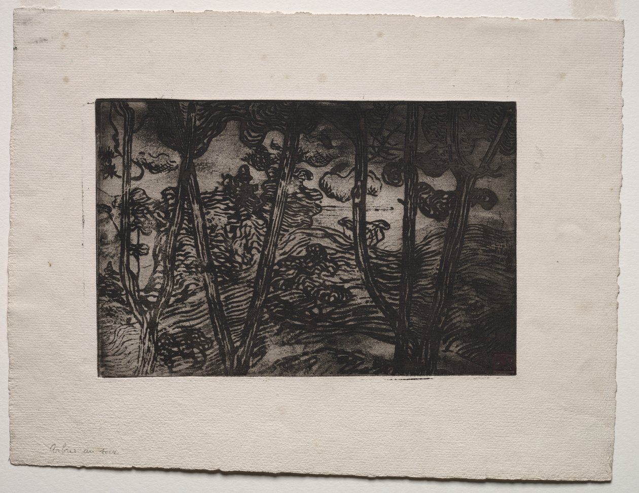 Bomen 