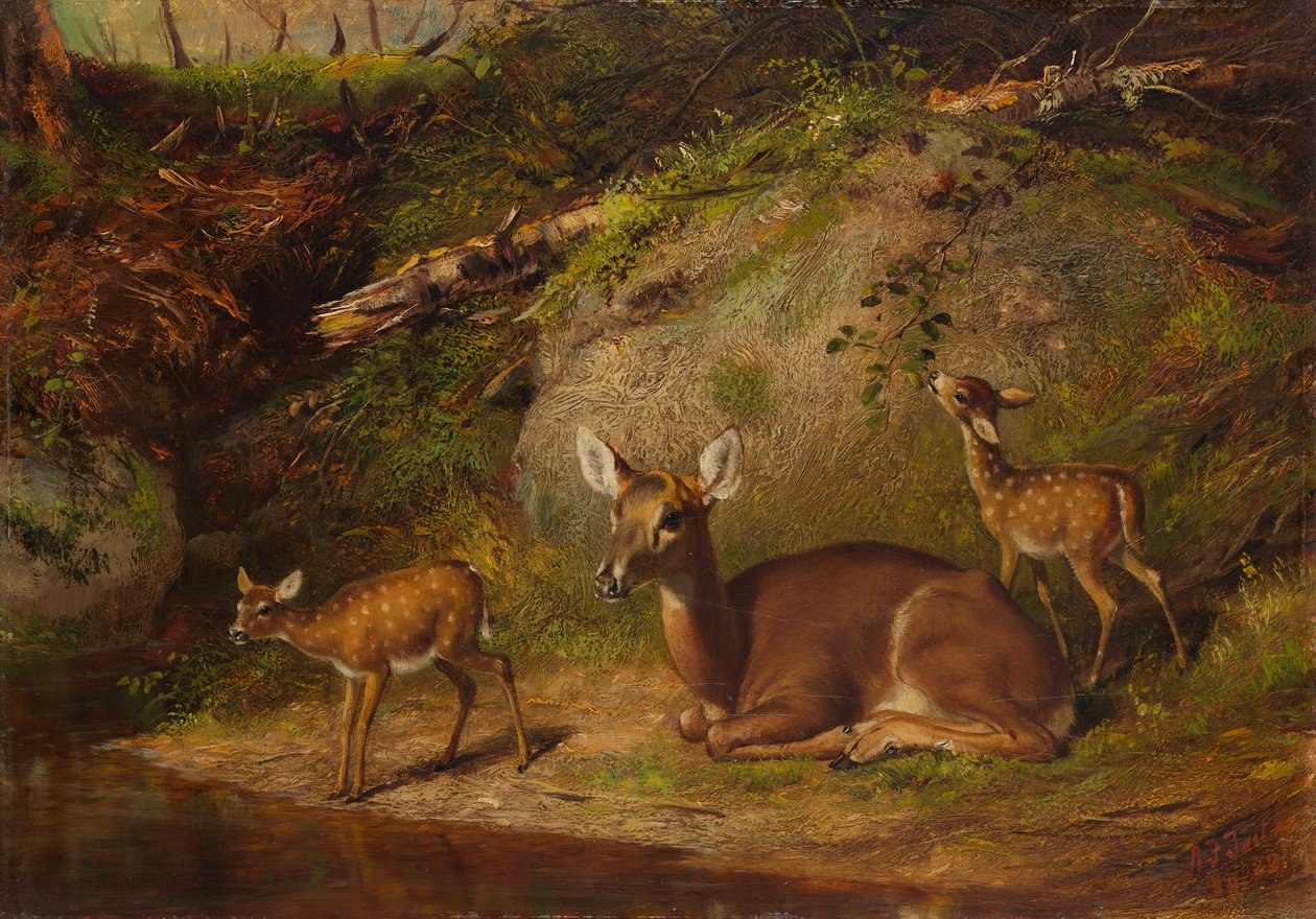 Hinde en Twee Reekalfjes, 1882 door Arthur Fitzwilliam Tait