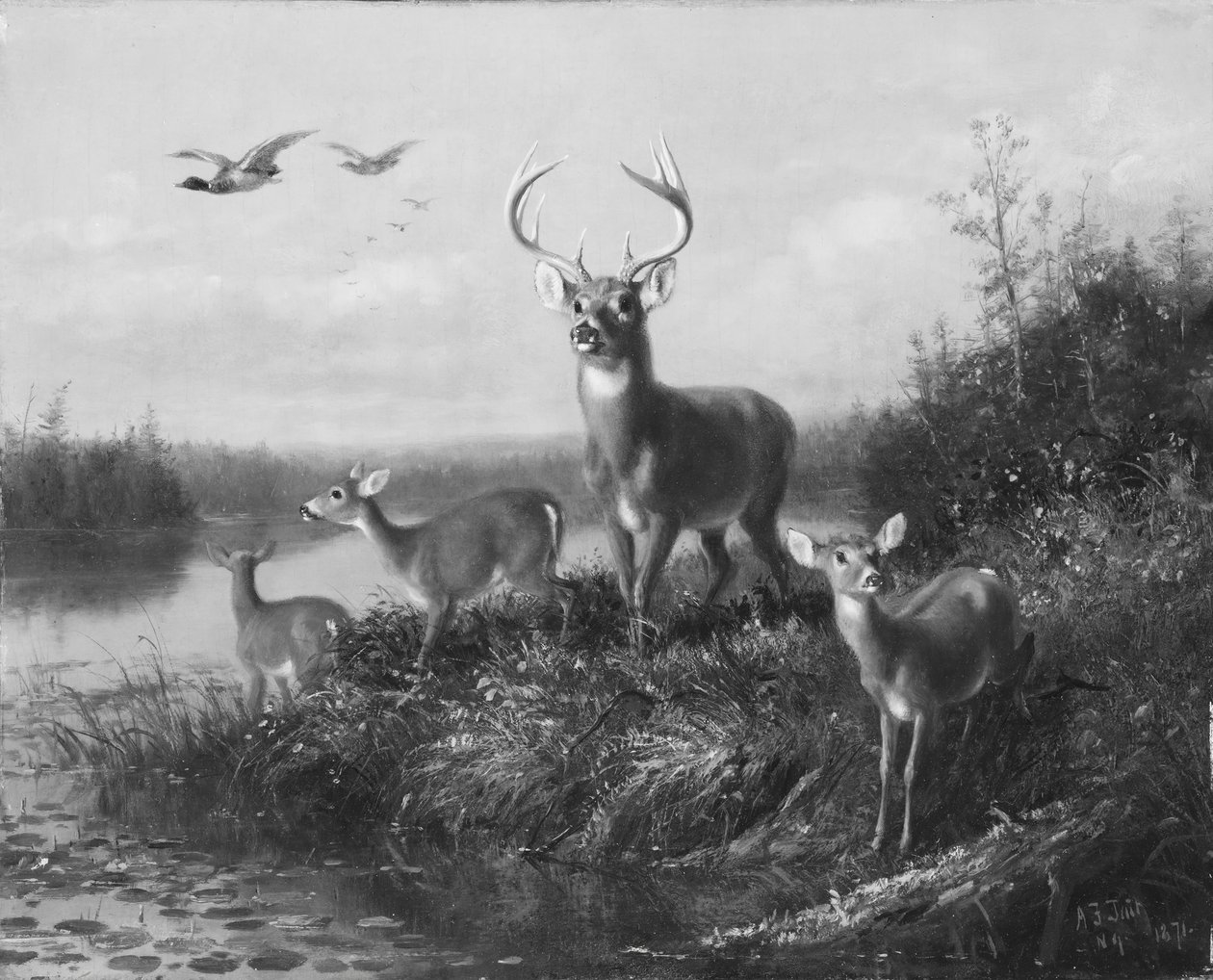 Op de Qui Vive, Bok en Drie Hinden, 1871 door Arthur Fitzwilliam Tait