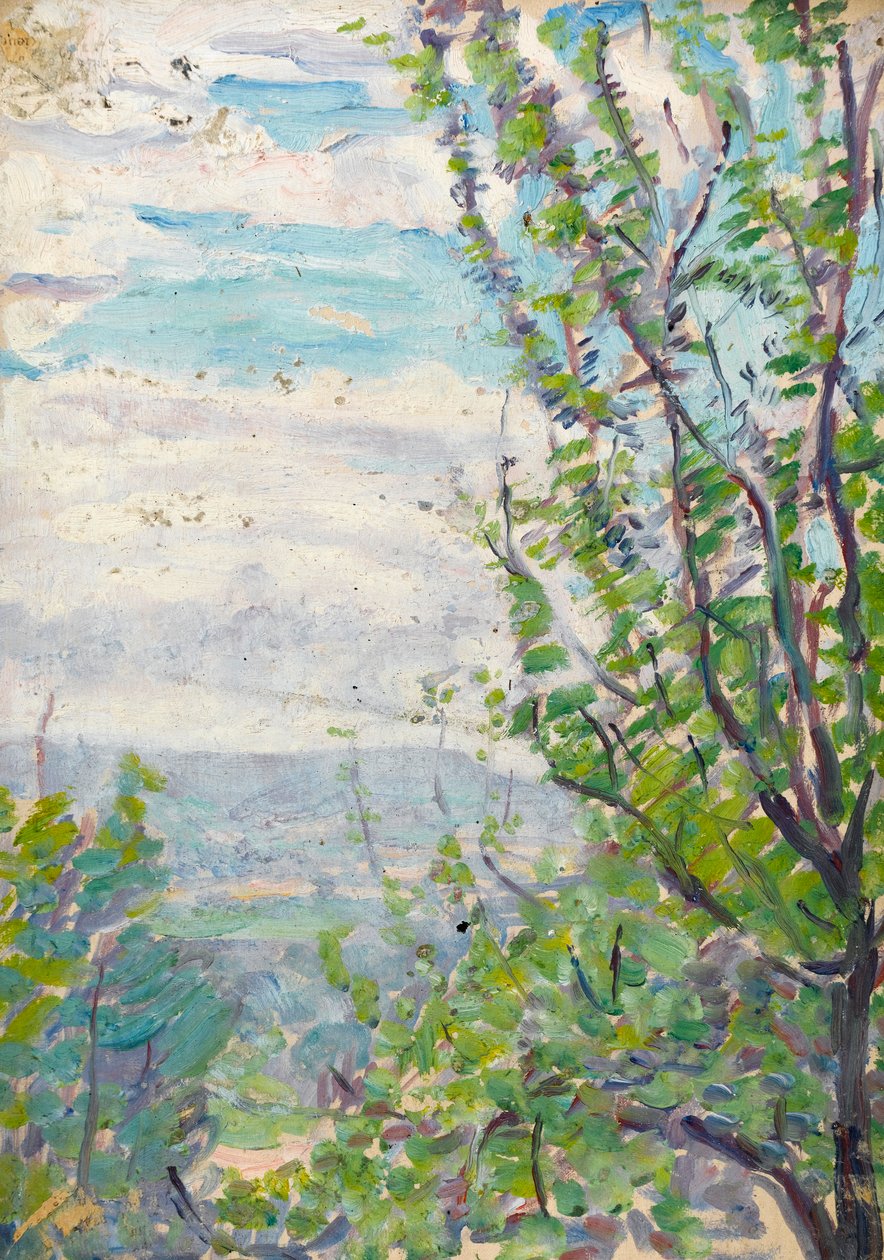 Blauwe lucht en wolken met takken van fruitbomen op de voorgrond door Arthur Haythorne Studd