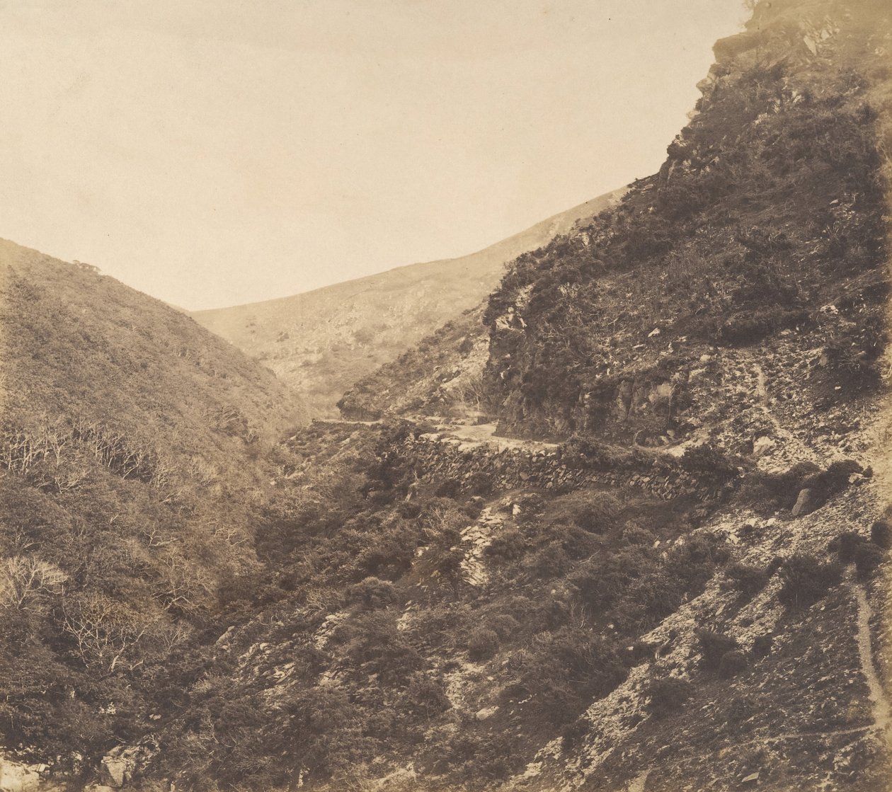 Op de Weg naar Watersmeet, nabij Lynton, Noord-Devon, 1856 door Arthur Julius Pollock