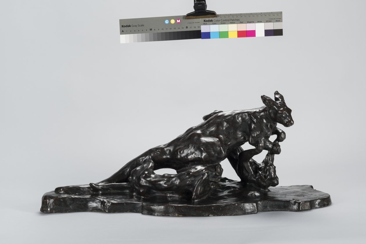 Kangoeroe en hond door Arthur Putnam