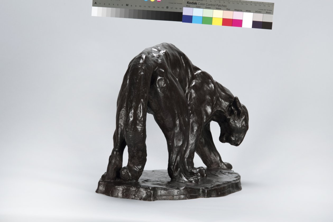 Grote Puma die een Os Spoor Ruikt door Arthur Putnam