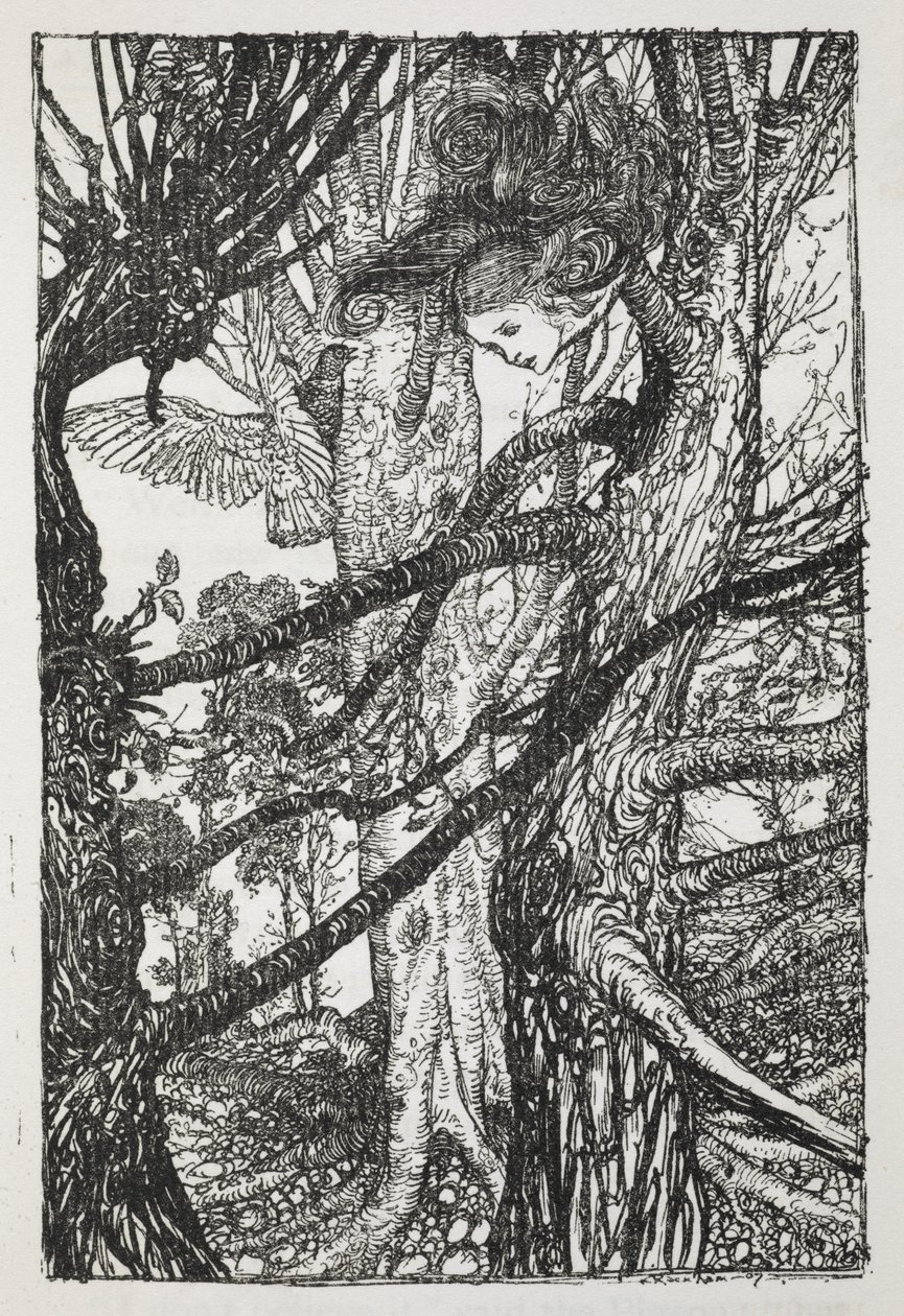 Alice als een slang die met een duif praat door Arthur Rackham