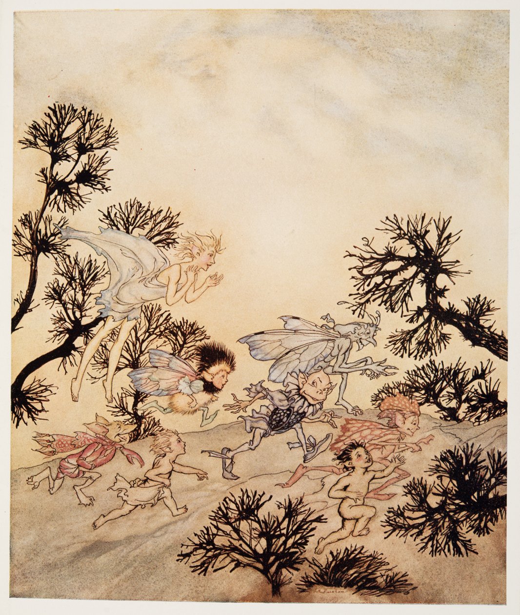 Ga mijn kobolden bevelen dat ze hun gewrichten met droge stuiptrekkingen malen, illustratie uit William Shakespeares De Storm, uitgegeven 1926 door Arthur Rackham