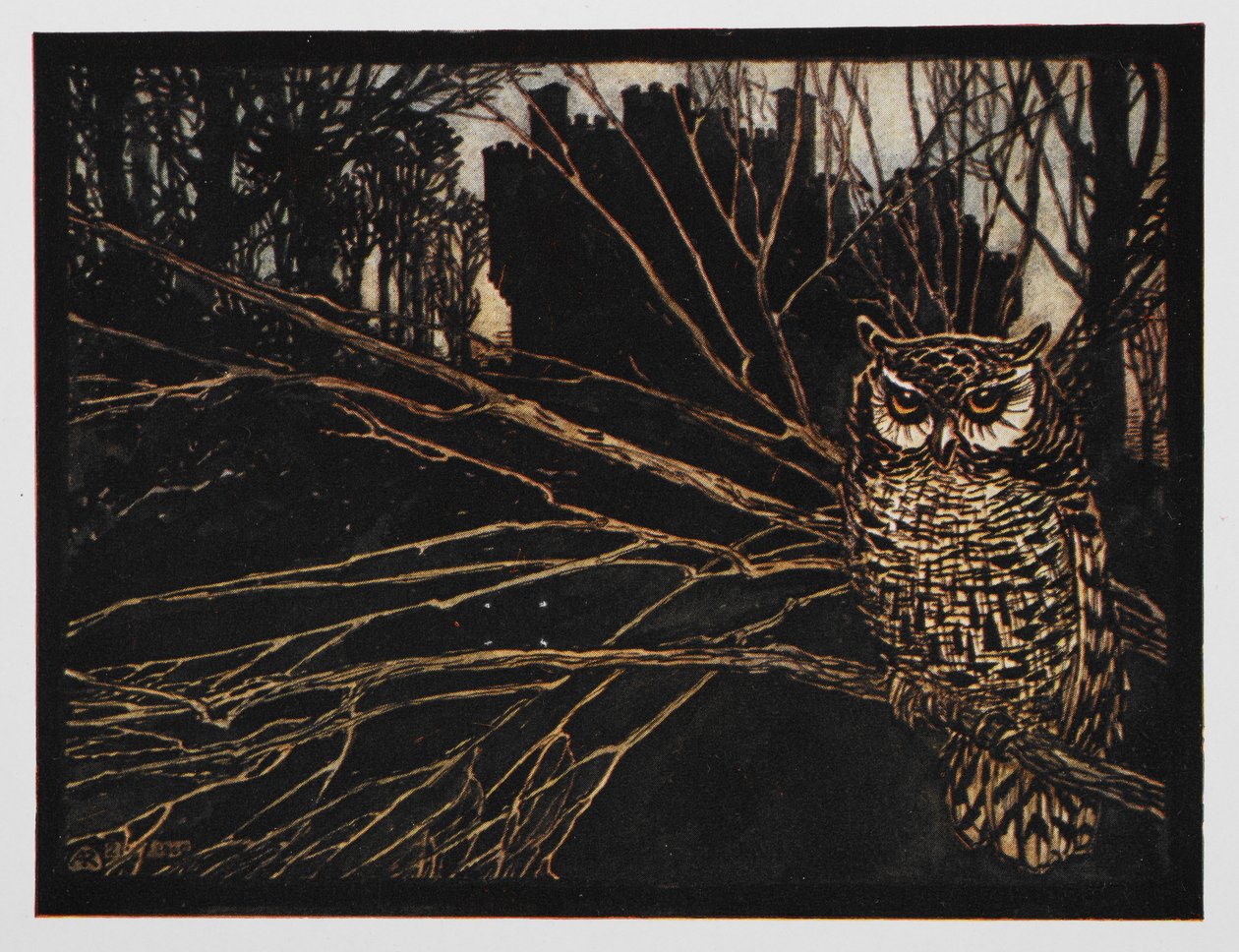 Illustratie uit Jorinda en Joringel van een kerkuil. door Arthur Rackham