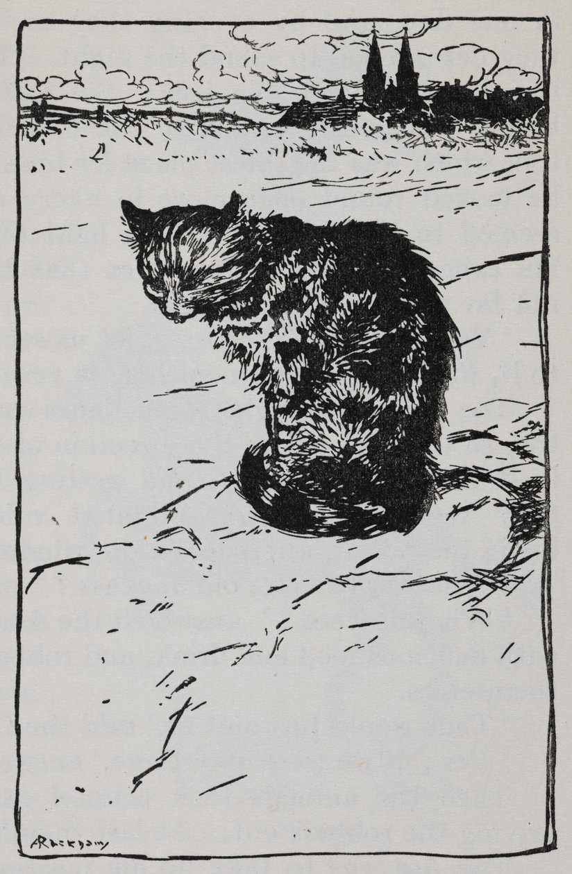 Illustratie van een kat uit De Bremer Stadsmuzikanten door Arthur Rackham