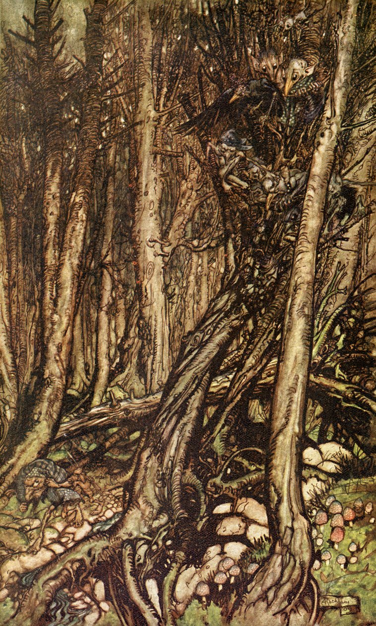 Undine door Friedrich de la Motte Fouqué door Arthur Rackham