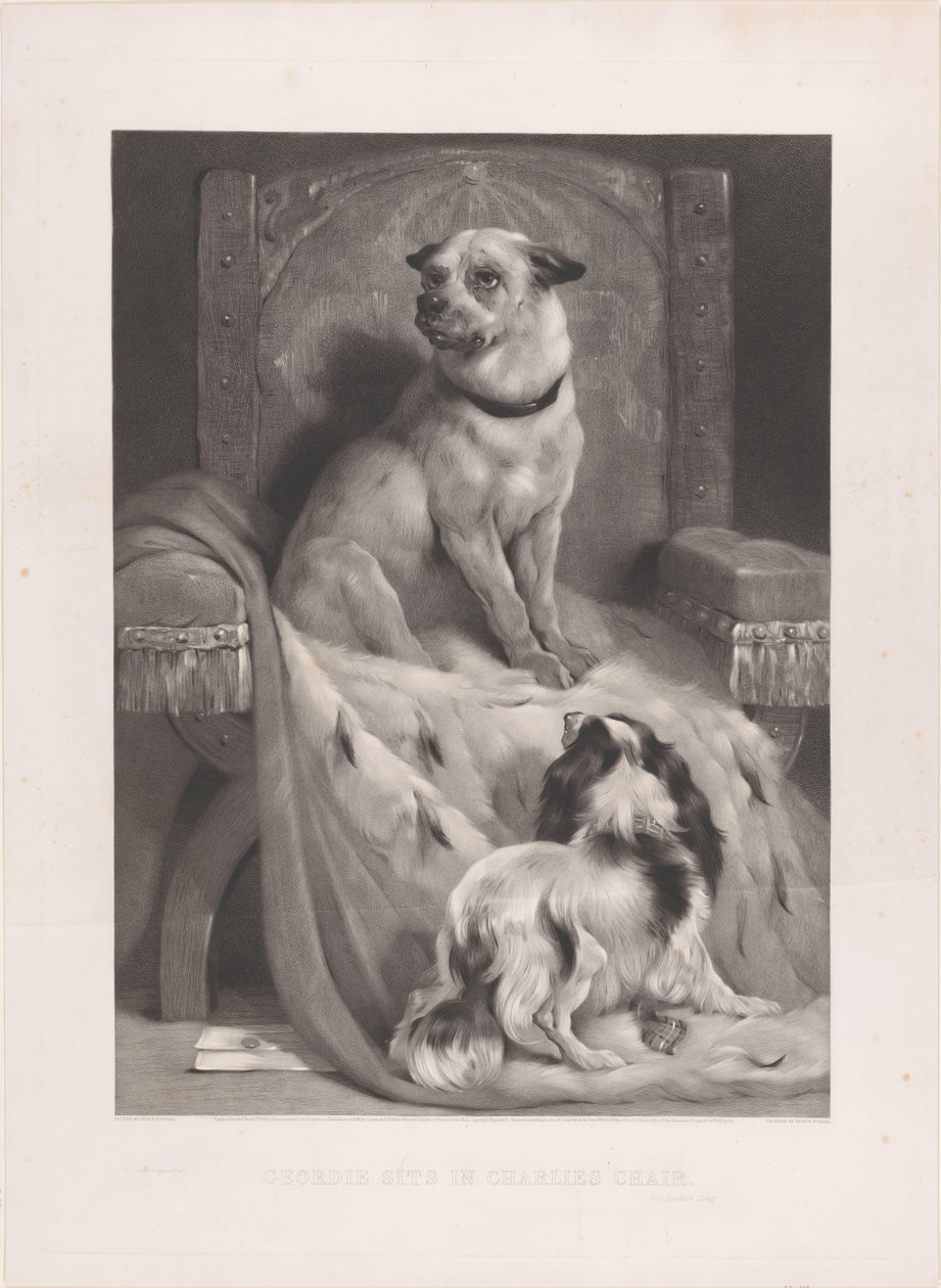 Hond op een hermelijnen mantel op een troon door Arthur Turrell