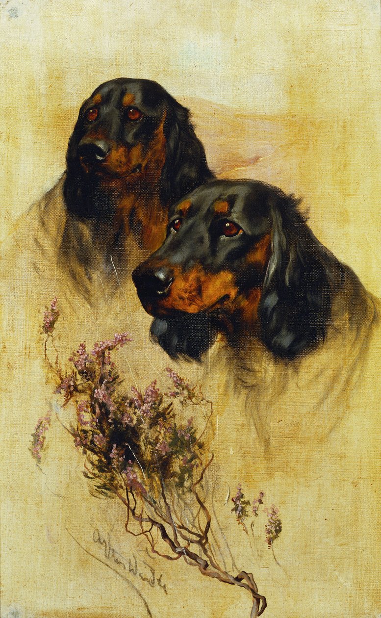 Twee Gordon Setters door Arthur Wardle