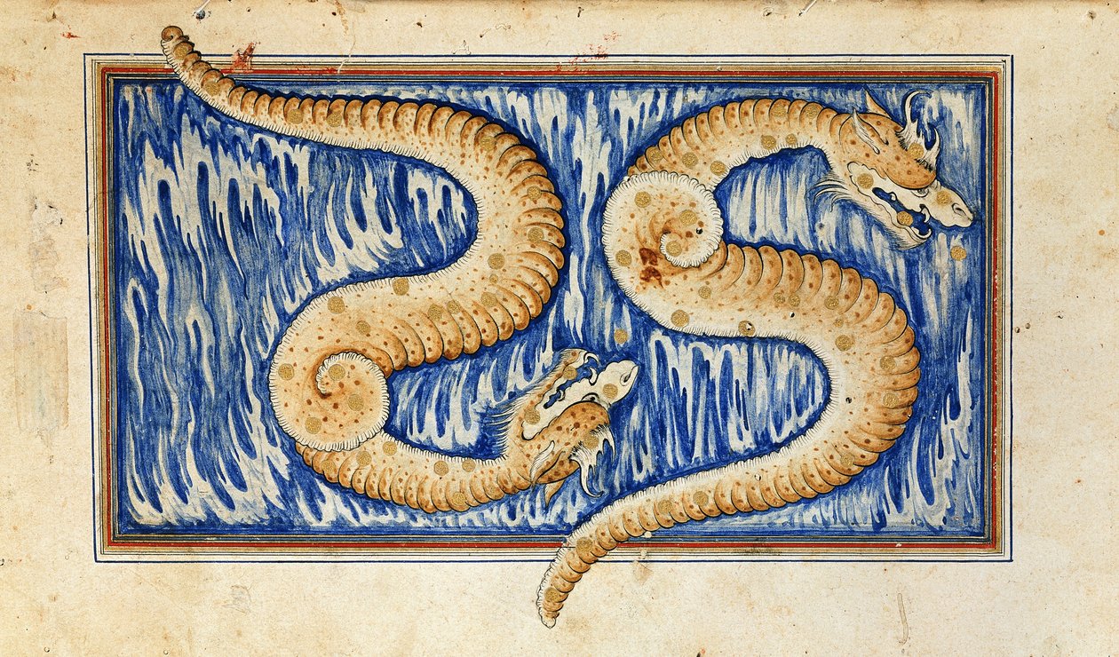 Een geïllustreerde pagina uit 