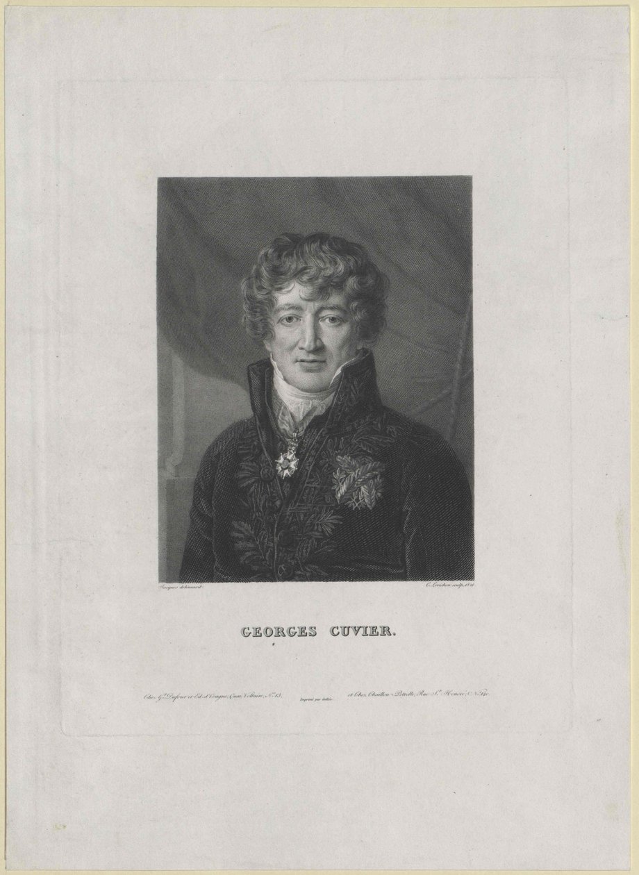 Georg Cuvier (druk) door Artist Unknown