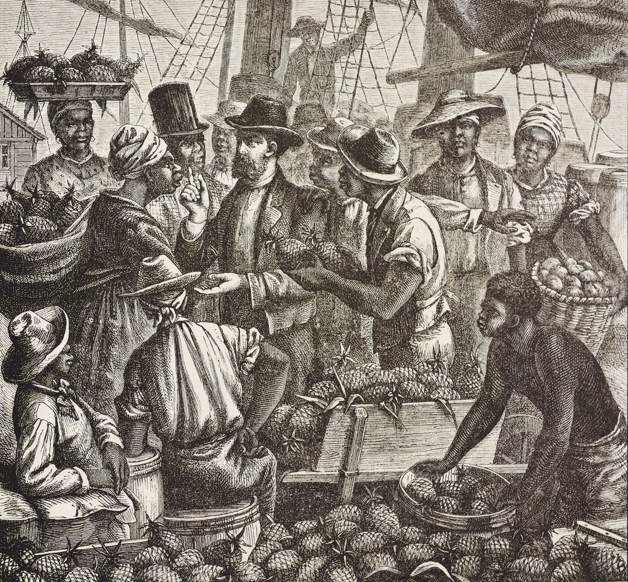 Geschiedenis van Engeland (19e eeuw). Kolonisatie (1880). Bahama verkoopt ananassen. Engelse kolonie op New Providence Island. Ananassen waren een van de belangrijkste exportproducten uit de haven van Nassau. Gravure. Privécollectie door Artist Unknown