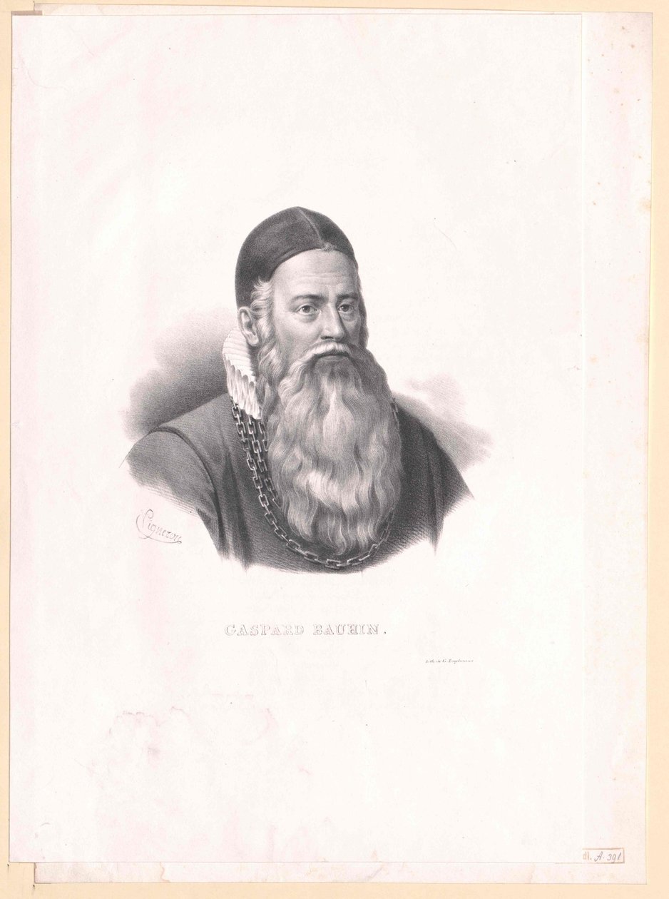 Kaspar Bauhin door Artist Unknown