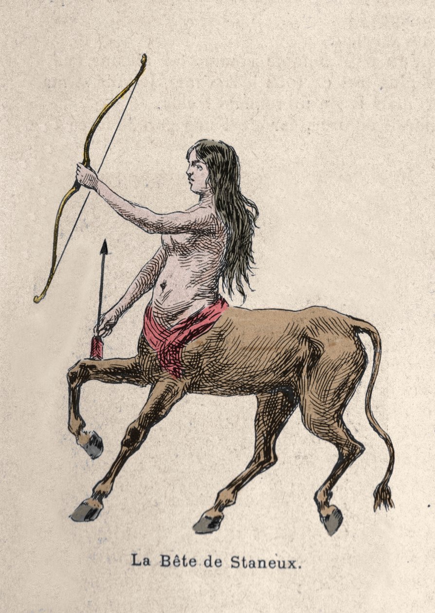 Afbeelding van de Bete of Staneux Illustratie door Artist Unknown