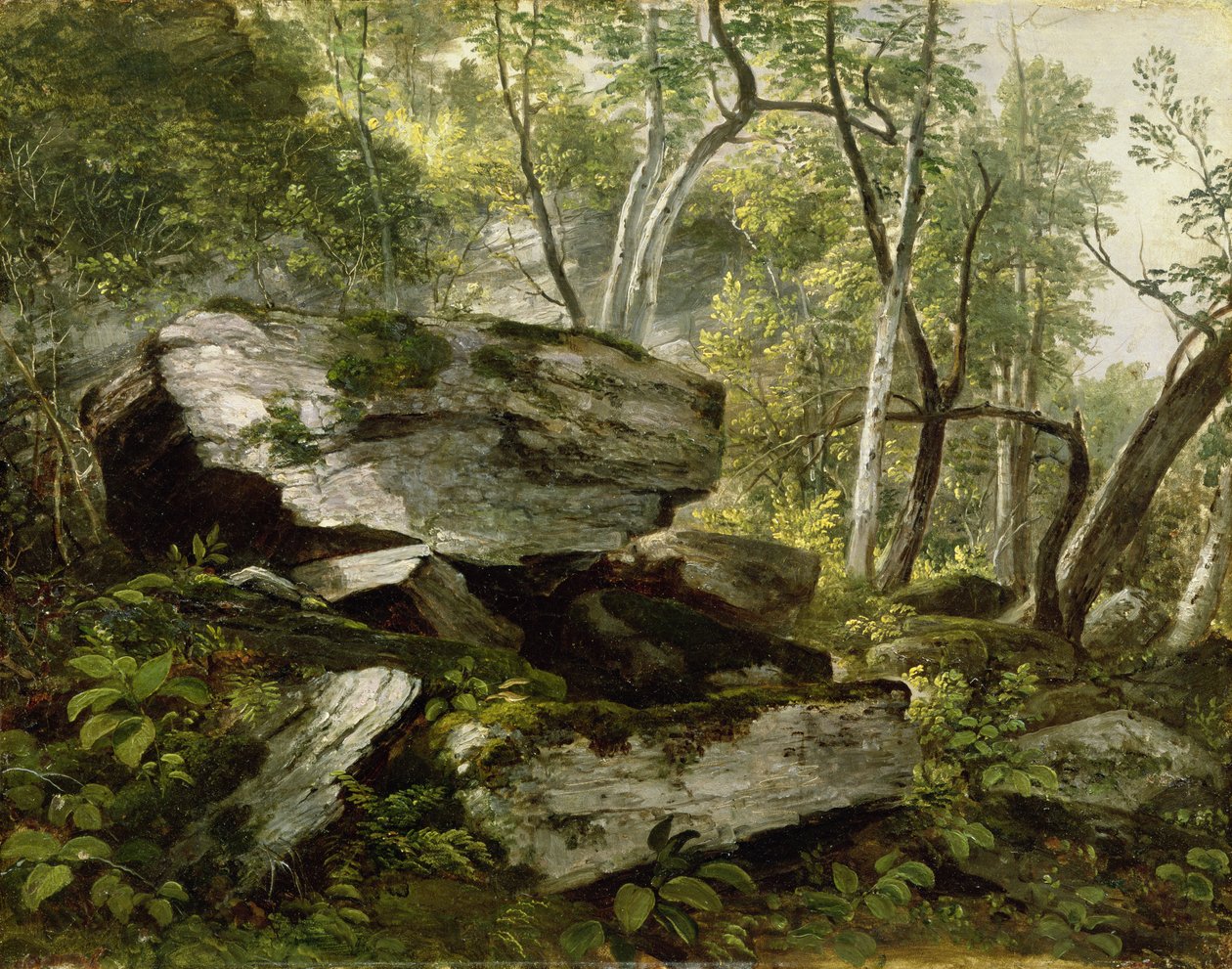 Studie uit de natuur: rotsen en bomen, ca. 1856 door Asher Brown Durand