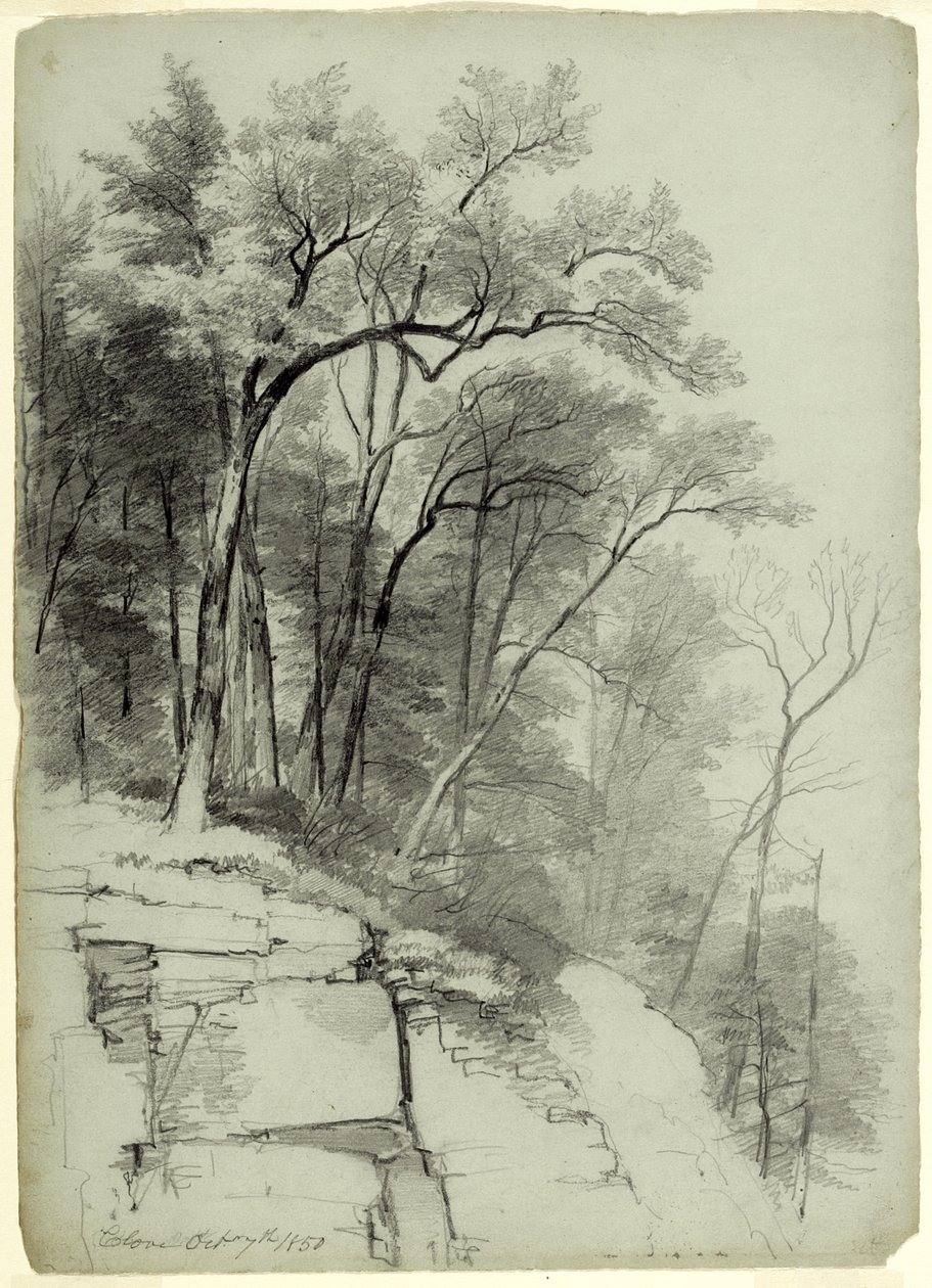 Studie van bomen en rotsen, Catskill Clove, New York, 1850 door Asher Brown Durand