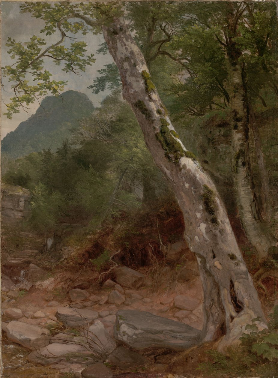 Een platanenboom, Plaaterkill Clove (De platanenboom, Kaaterskill Clove) door Asher Brown Durand