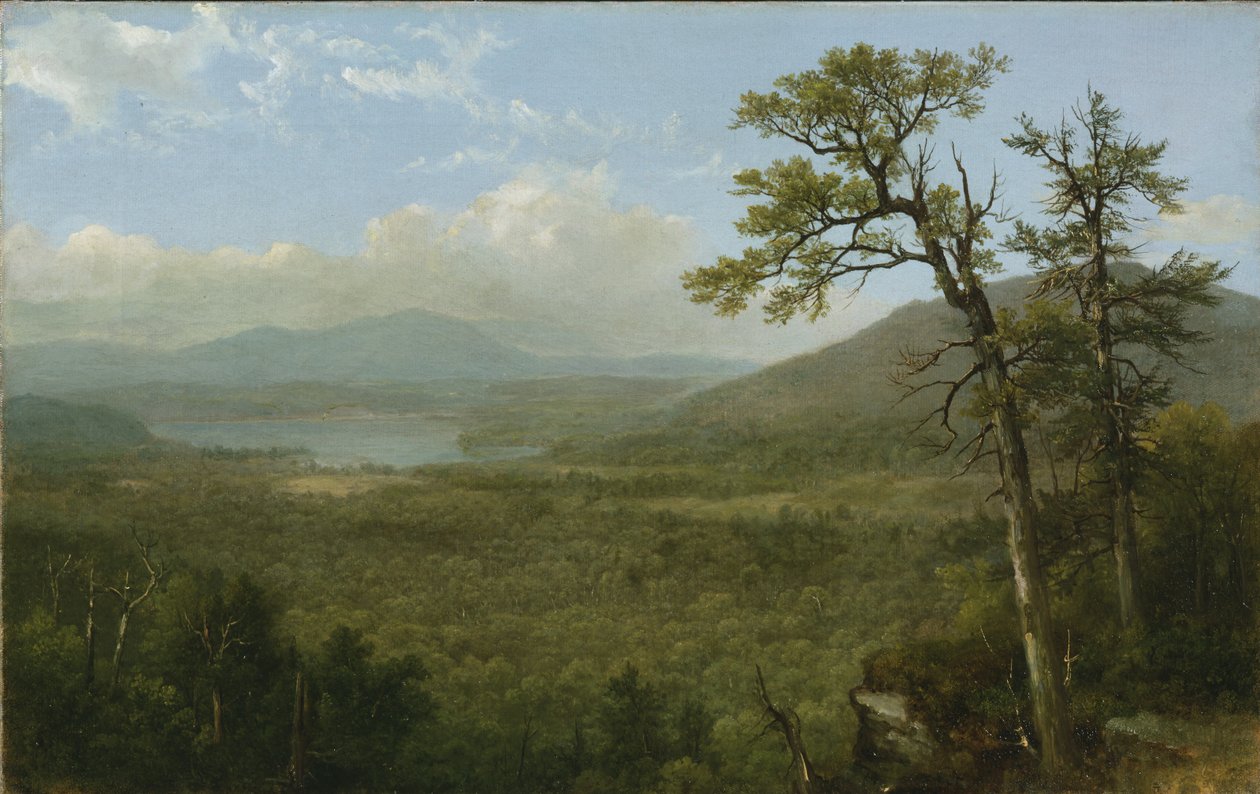 Adirondack Mountains, N.Y., 1870 door Asher Brown Durand