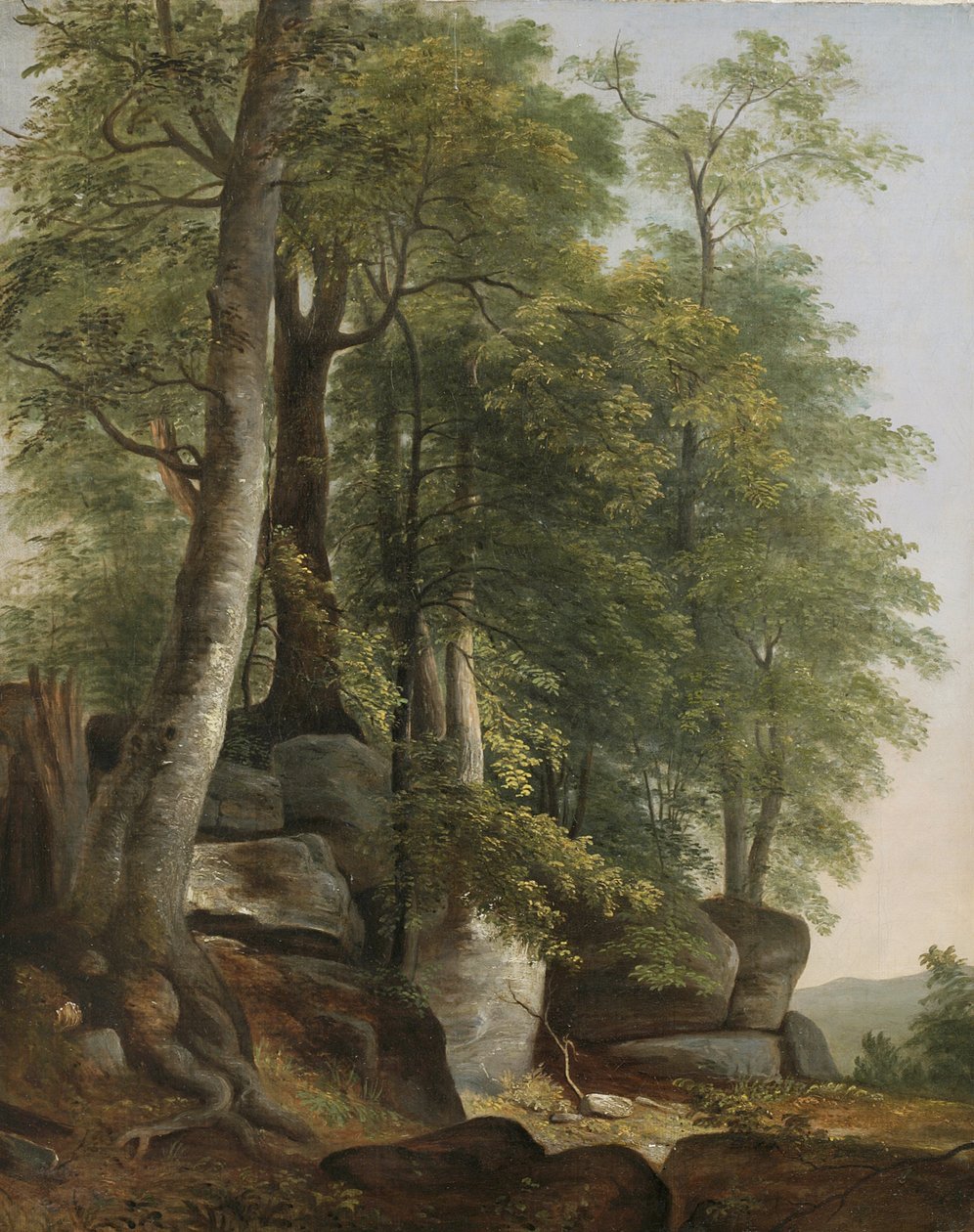 Landschap met rotsen en bomen door Asher Brown Durand