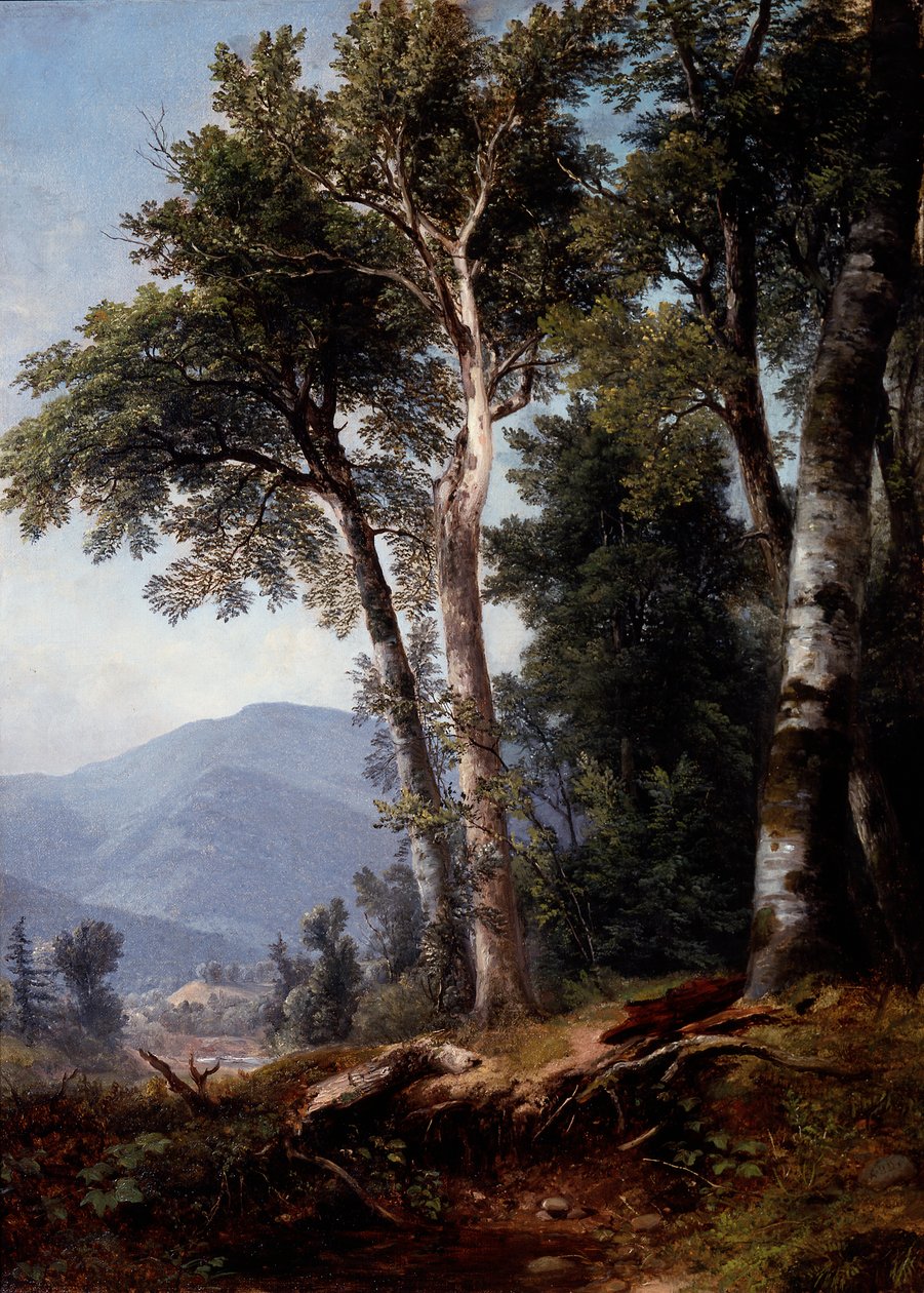 Boslandschap door Asher Brown Durand