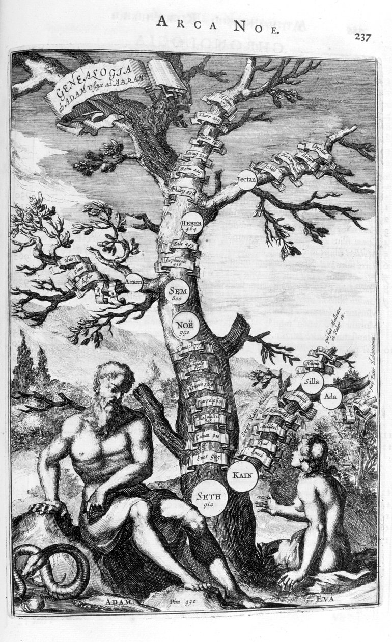 Stamboom van Adam, 1675 door Athanasius Kircher