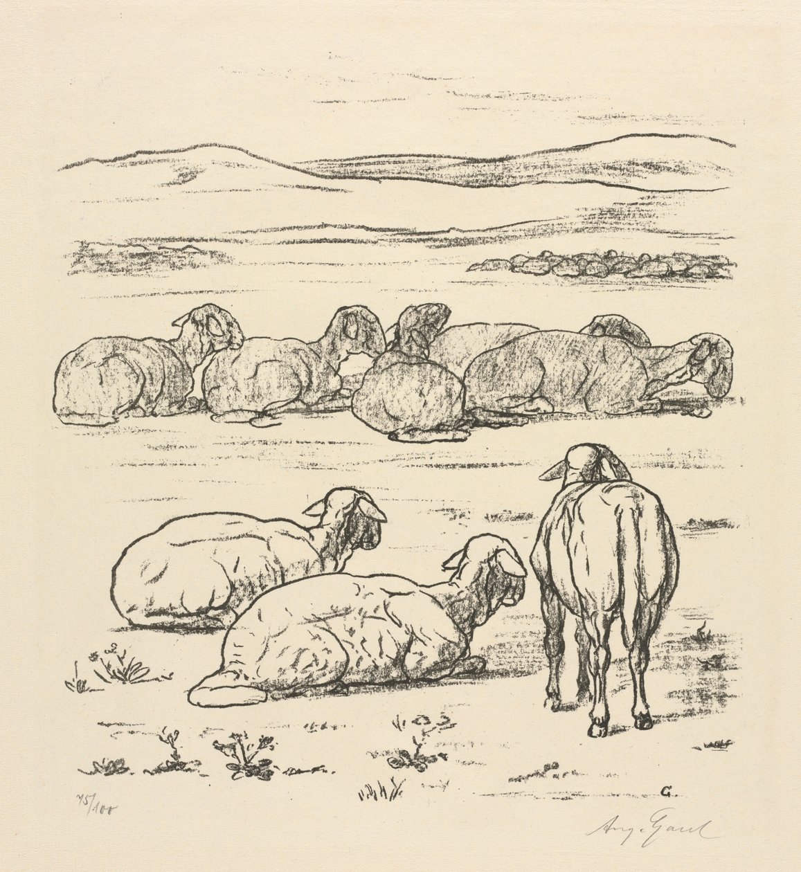 Schapen door August Gaul