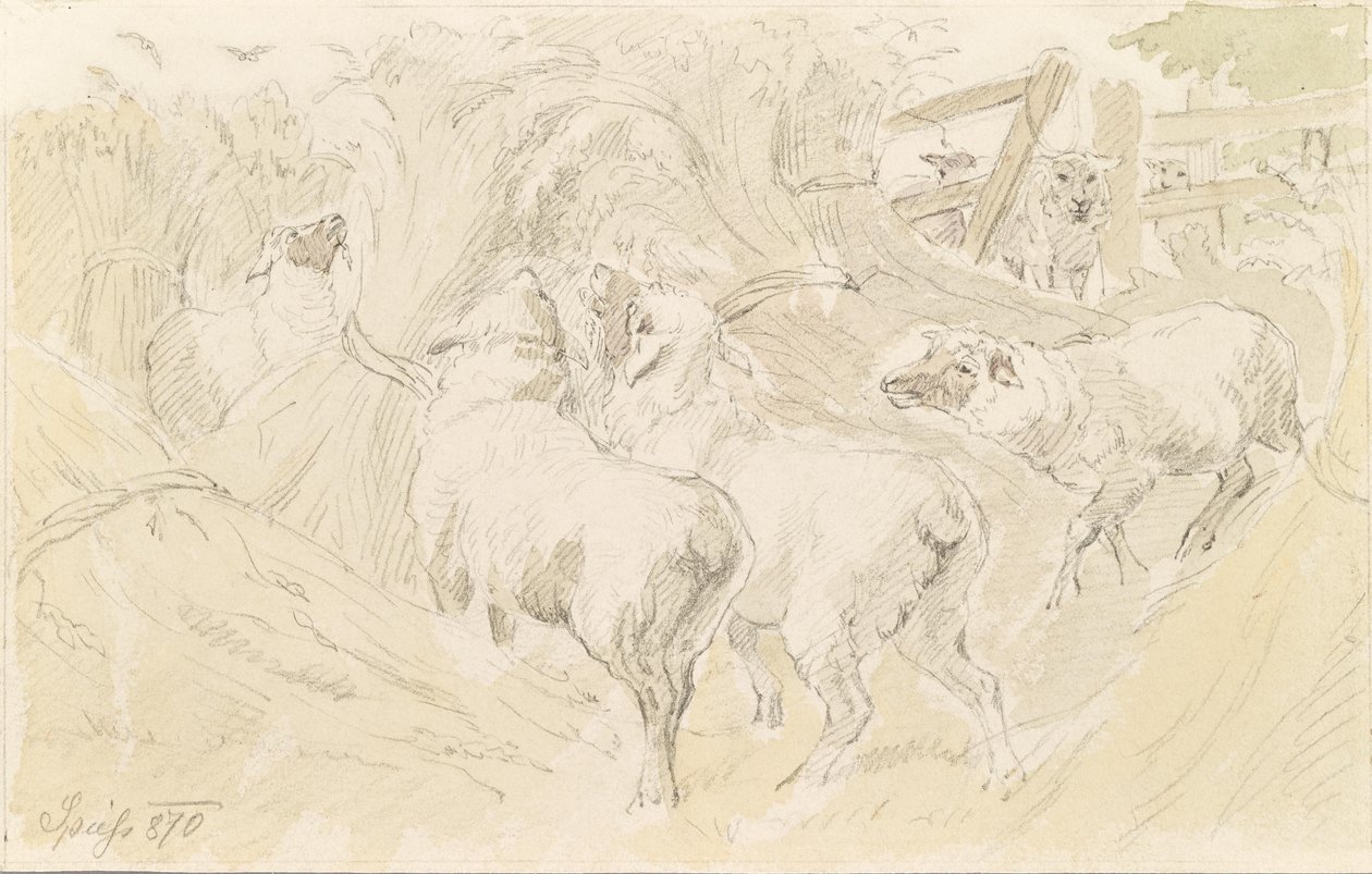 Schapen in graan door August Spiess