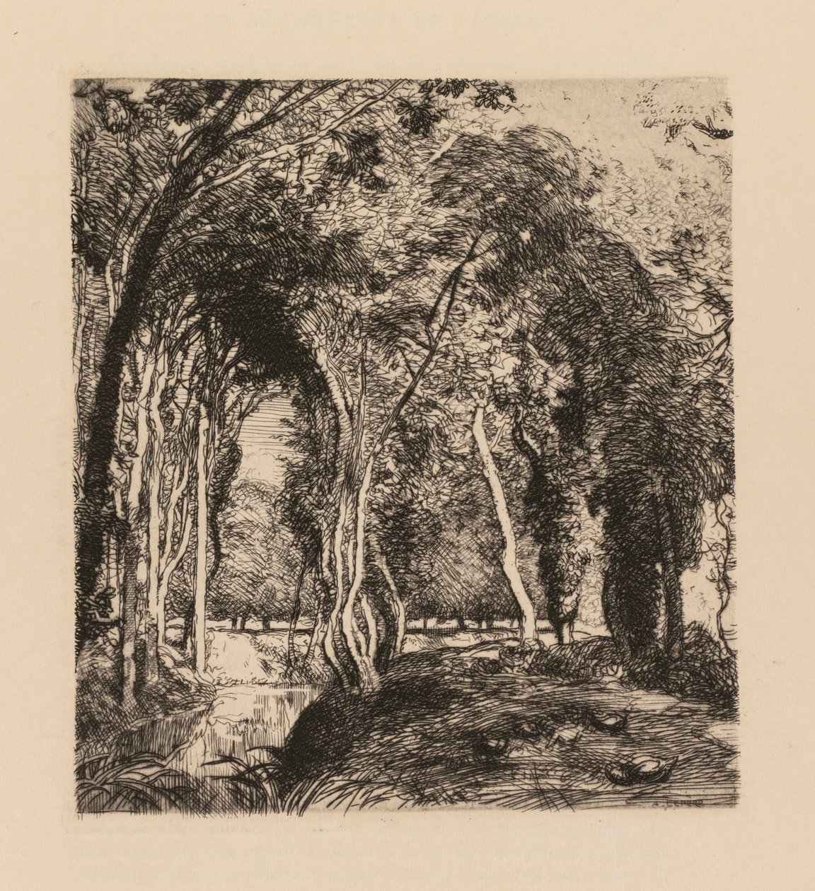 Auguste Lepère: Sous bois, à la Rigonette Vendée door Auguste Louis Lepère