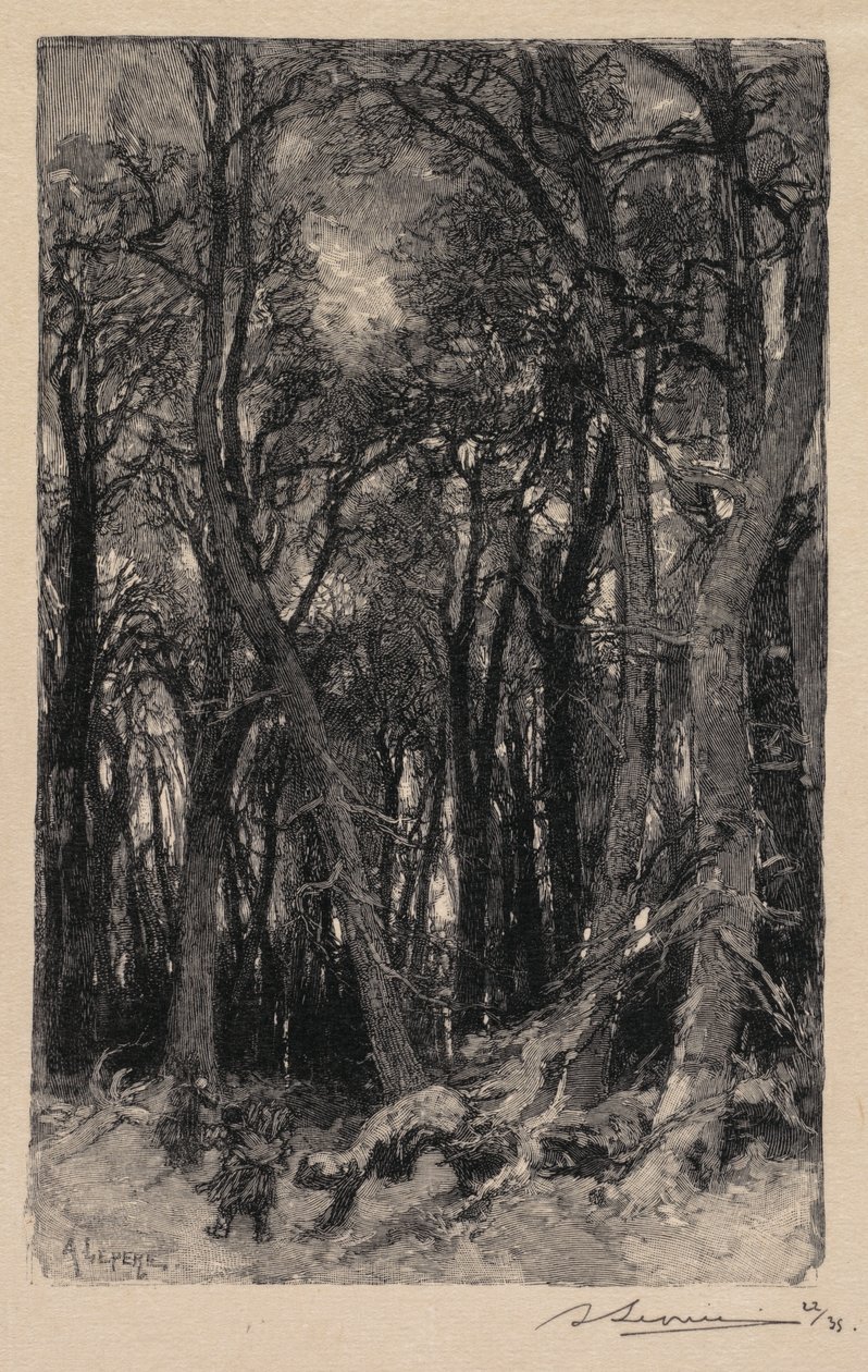 Fontainebleau Bos: Bas-Bréau, 1890 door Auguste Louis Lepère