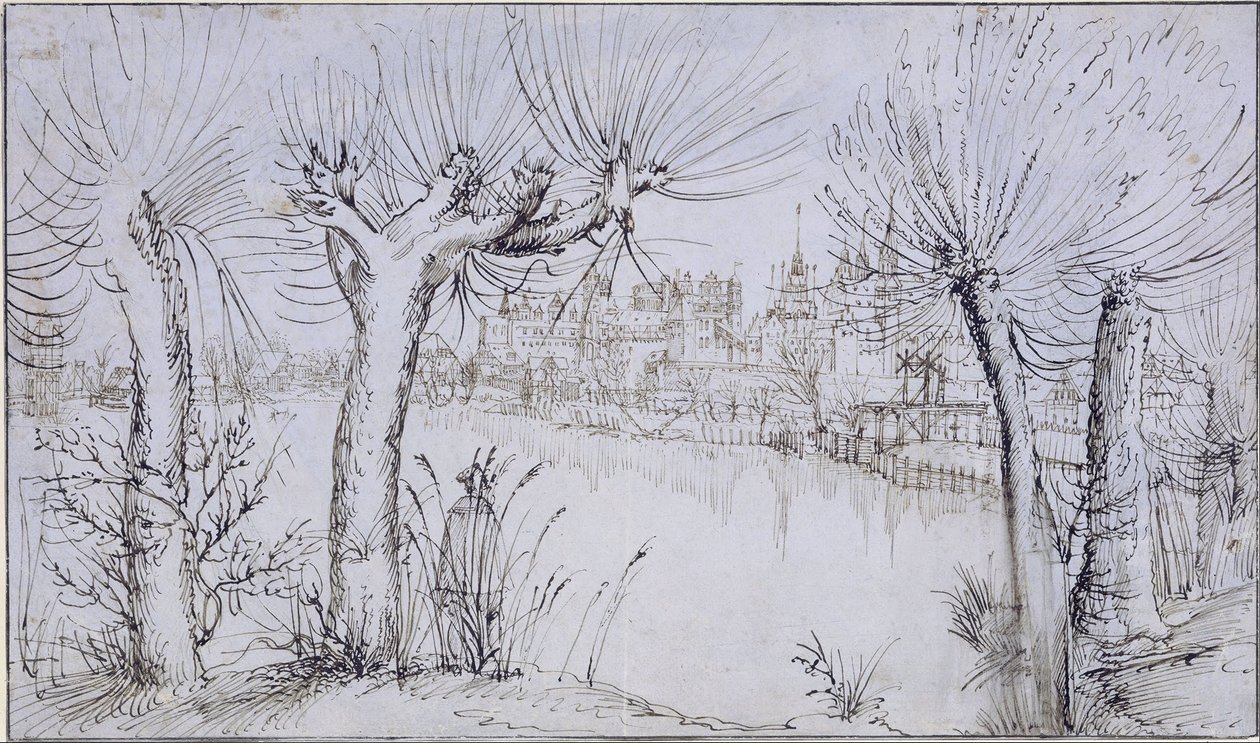 Vijver voor een stad door Augustin Hirschvogel