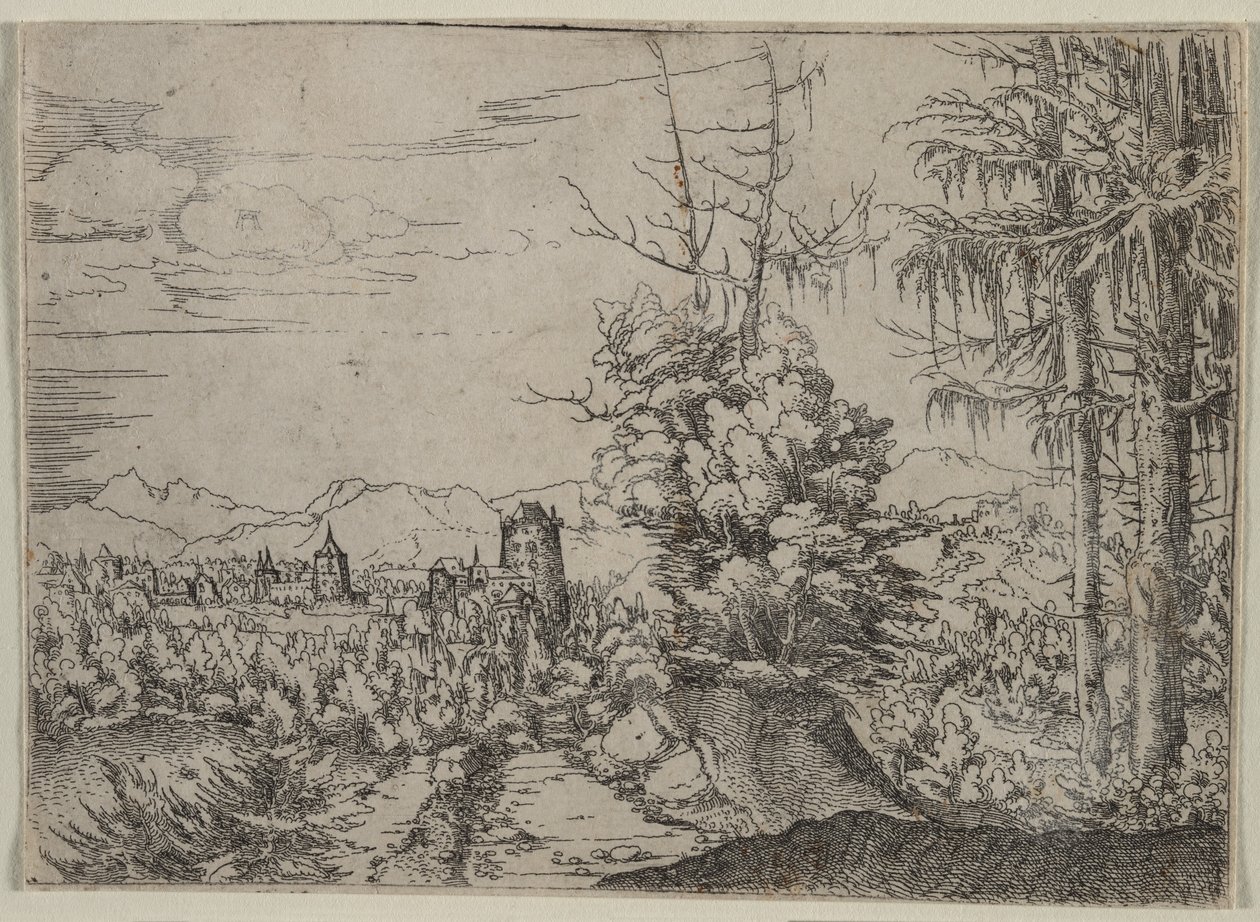  door Augustin Hirschvogel