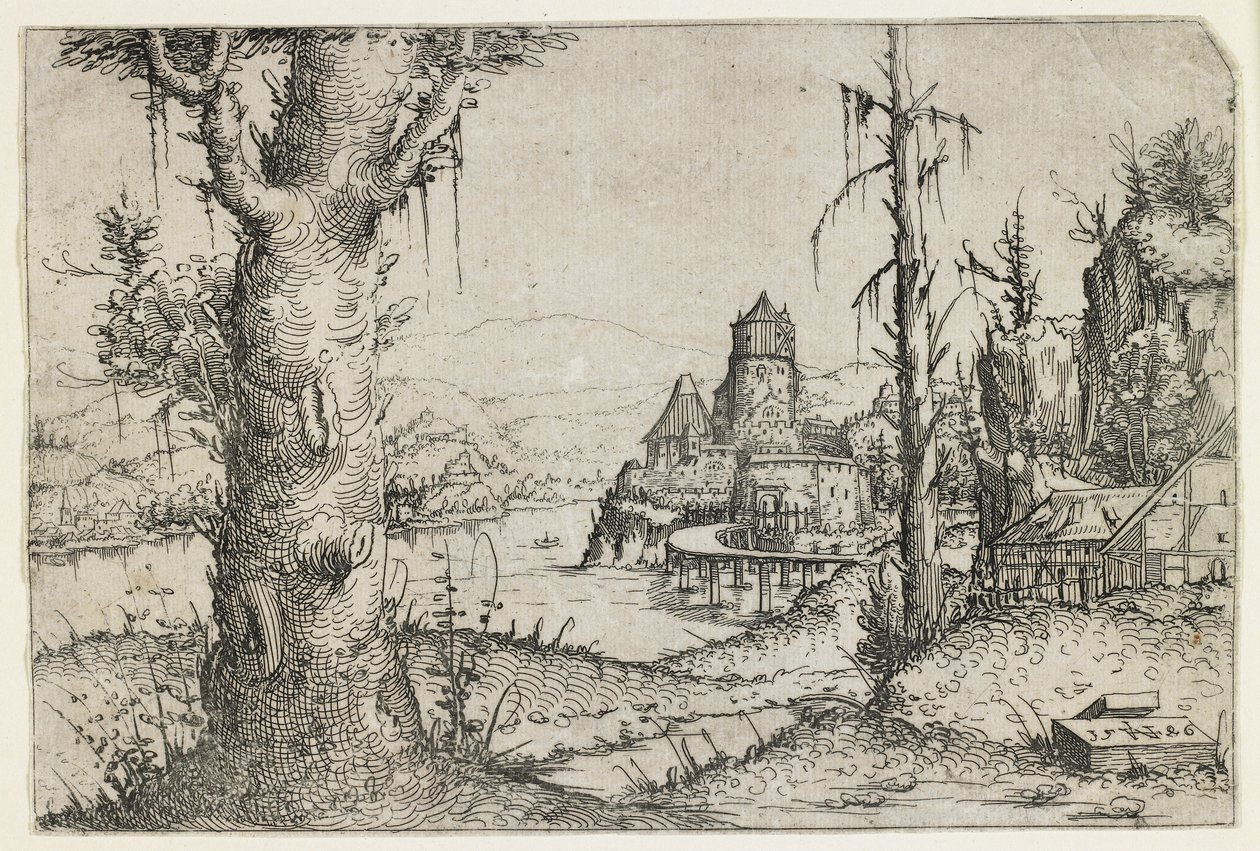 Grote boom en kasteel aan een meer door Augustin Hirschvogel