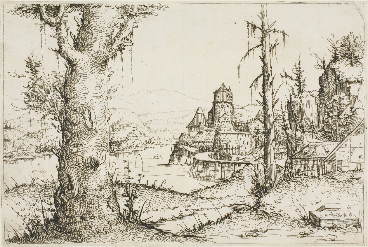 Rivierlandschap met Grote Boom op de Voorgrond door Augustin Hirschvogel