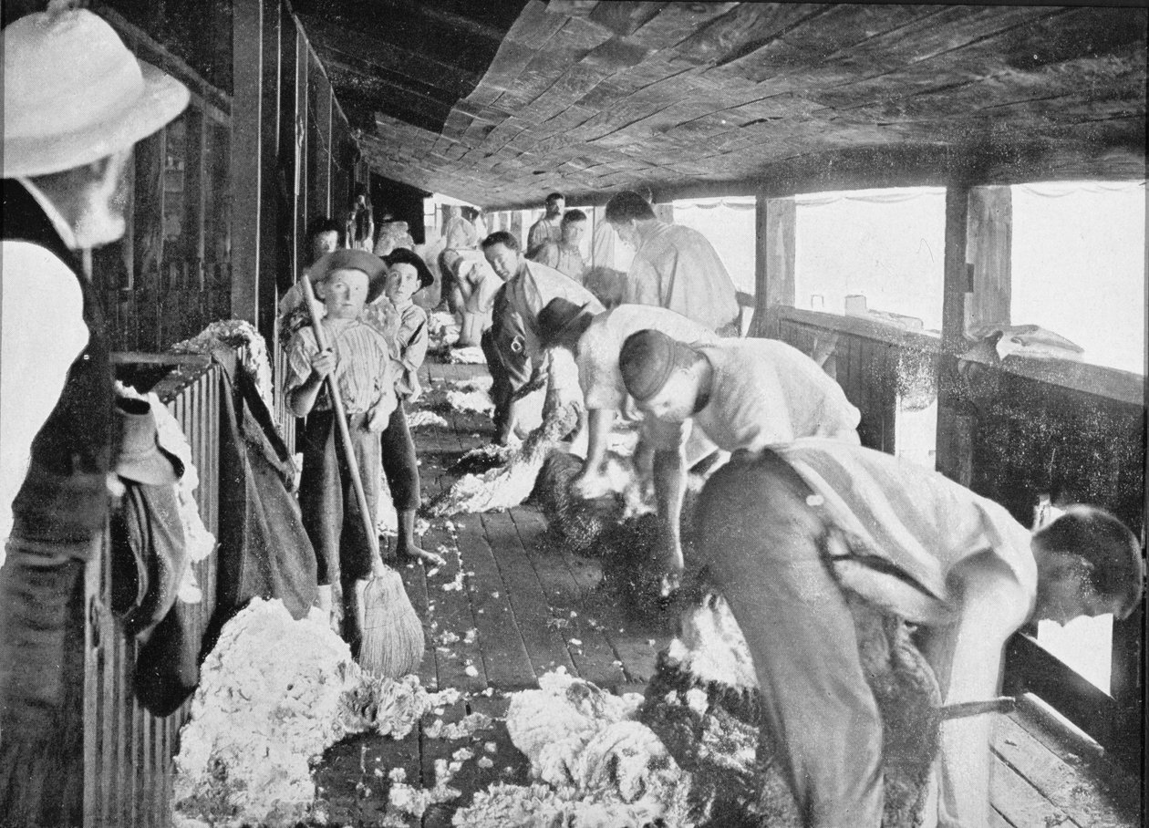 Schapenscheerloods, Queensland, c.1900, uit 