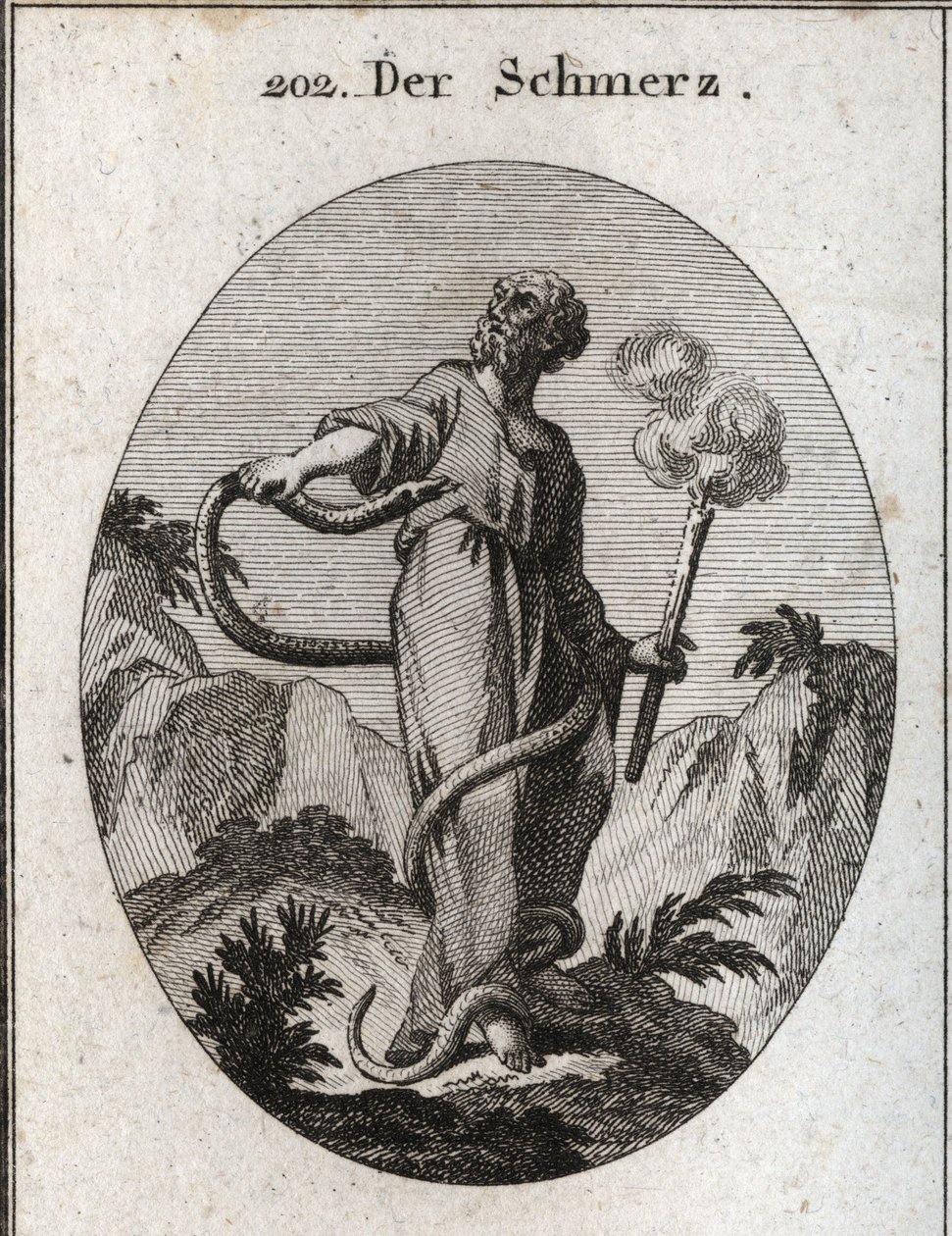 Allegorie van pijn. Een monsterlijke slang omringt hem die, nadat hij zijn voeten heeft gebonden, zijn lichaam bereikt en probeert zijn hart te bijten. Ze houdt een fakkel die nog steeds rookt, wat betekent dat pijn veroorzaakt door verlamming het vuur van door Austrian School
