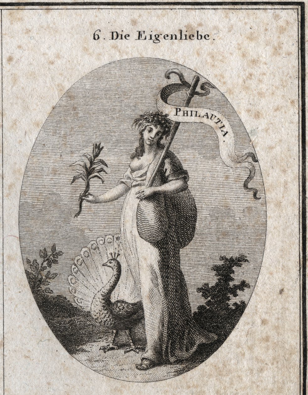 Allegorie van eigenliefde, voorgesteld als een jonge vrouw die een zak sluit die haar fouten symboliseert met een stok waarop de Griekse vertaling “Philautia” is gegraveerd. Attributen: de pauw die het wiel maakt en de narcisbloem. Gravure in “Iconologi door Austrian School