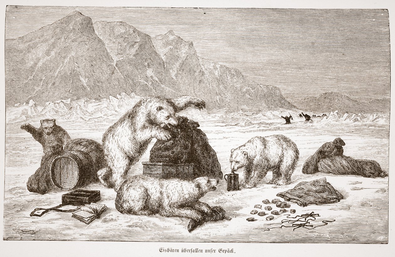 Eisbären überfallen unser Gepäck (Poolberen vallen onze bagage aan) pub. Wenen 1876 door Austrian School