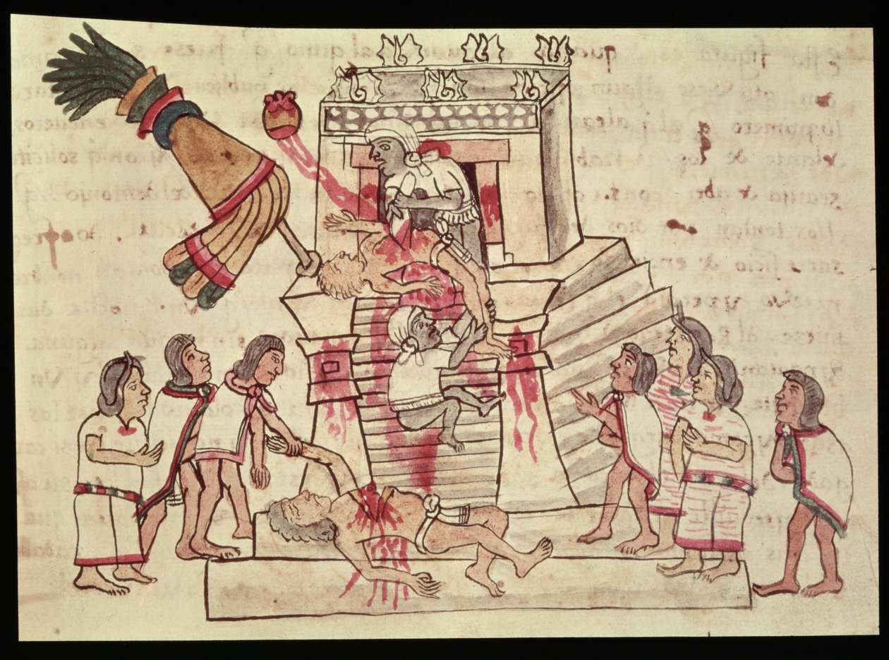 Een menselijk offer uit de Codex Magliabechiano door Aztec