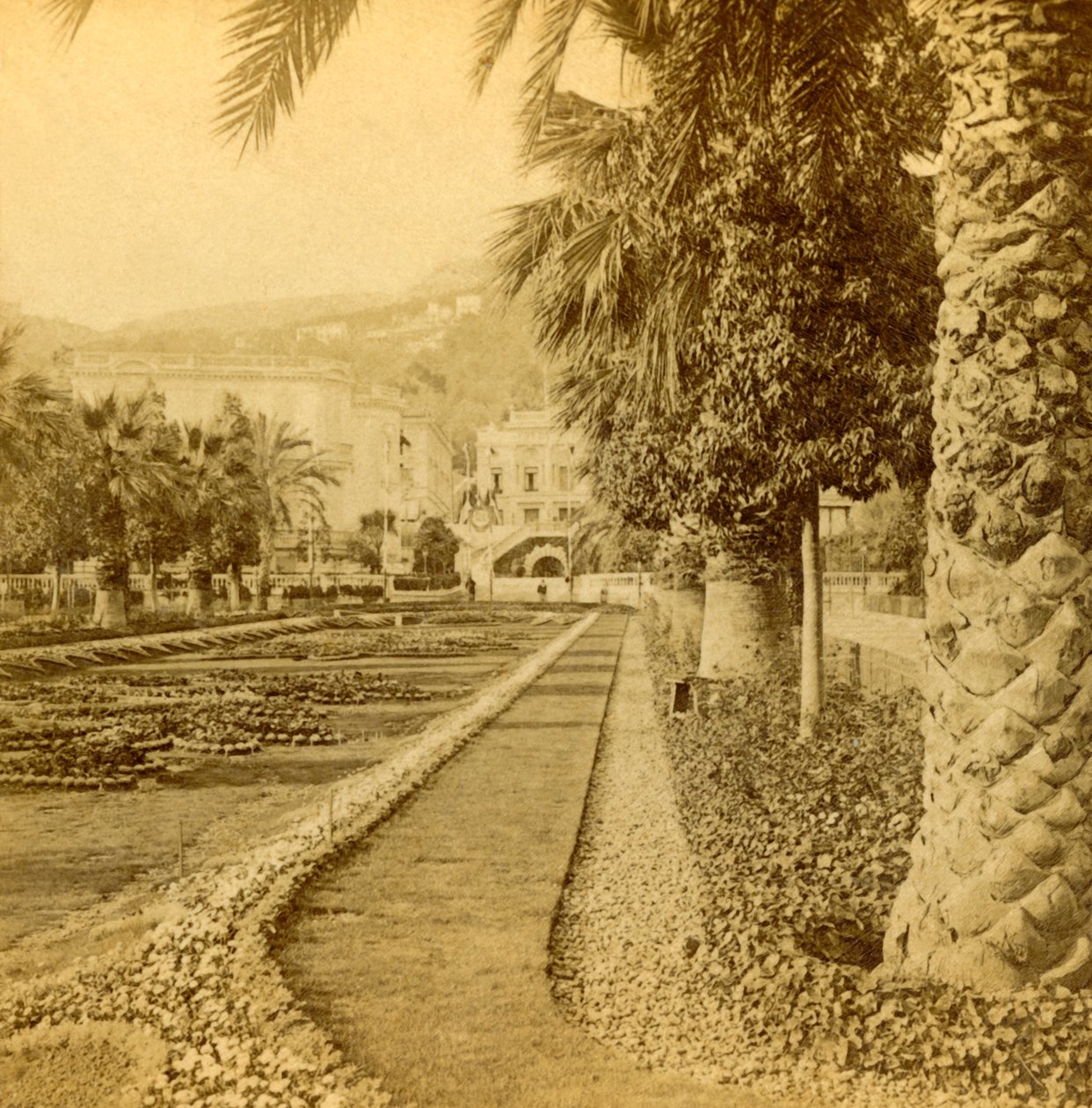 Monte Carlo, gezien vanaf het Casino, 1897 door B. W. Kilburn